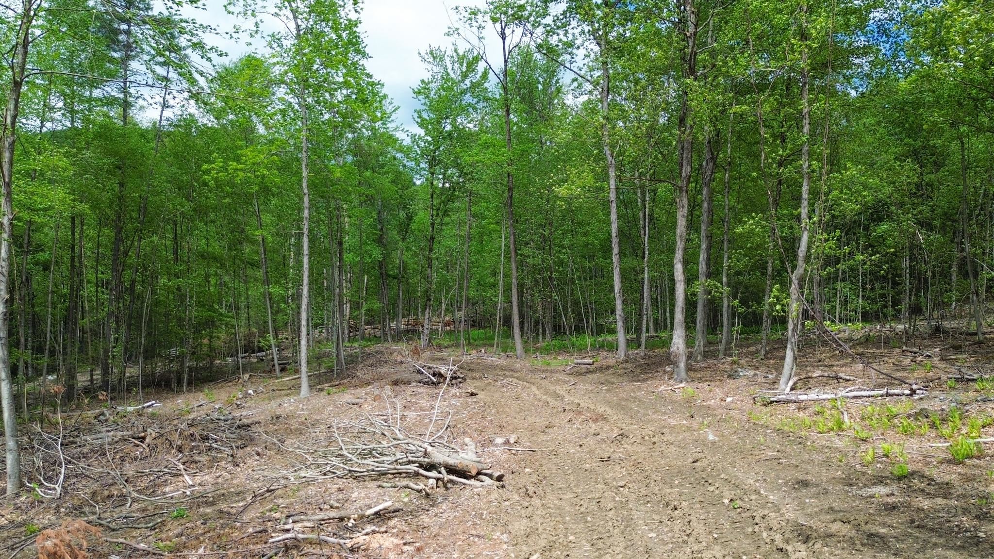Lot 26-3 Plain Road Property Photo 1