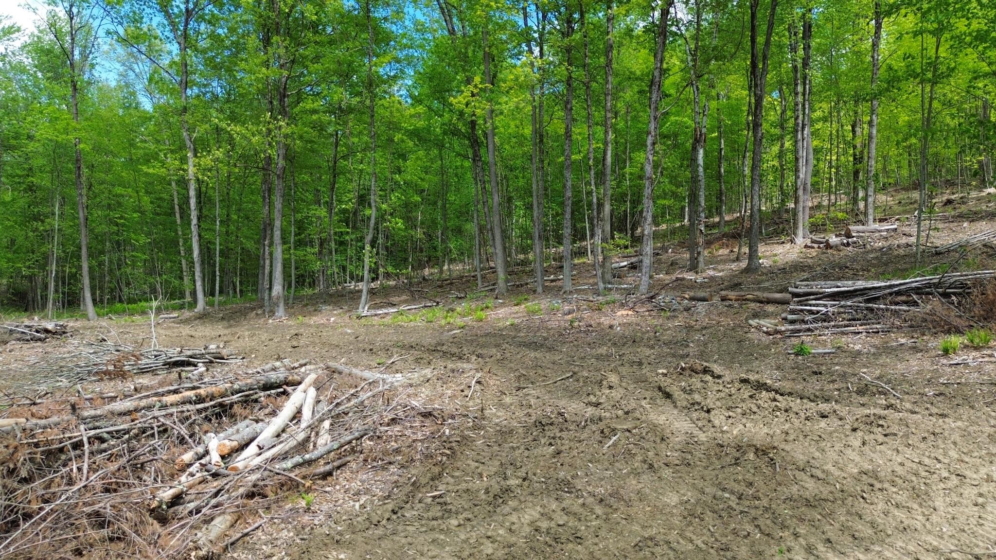Lot 26-3 Plain Road Property Photo 2