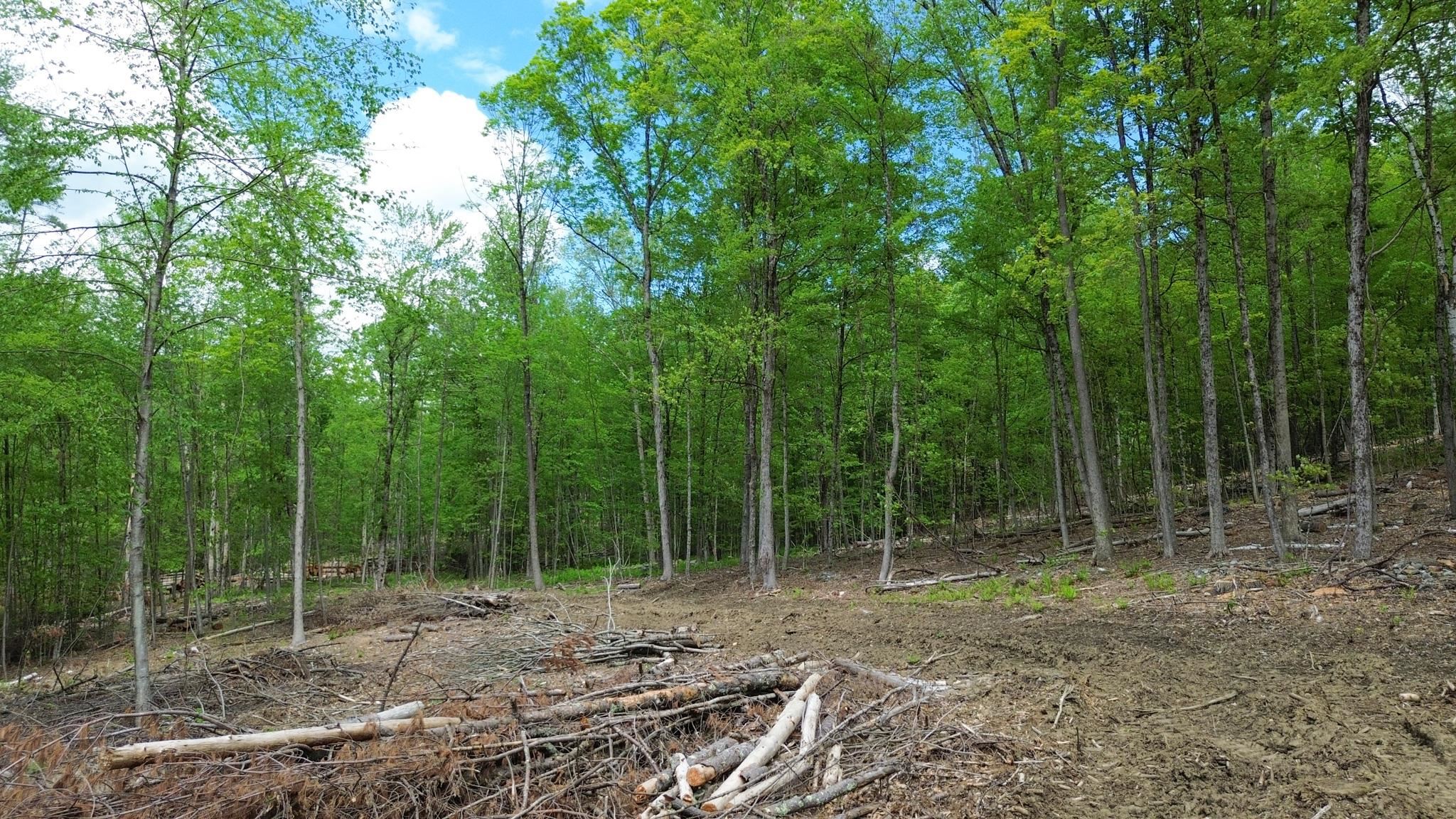 Lot 26-3 Plain Road Property Photo 3