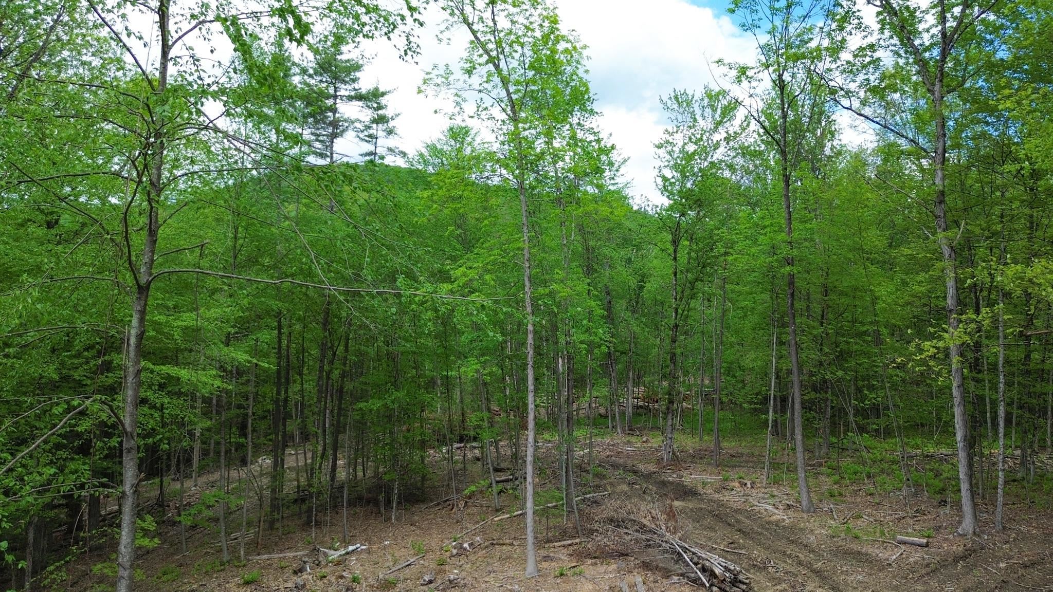 Lot 26-3 Plain Road Property Photo 4