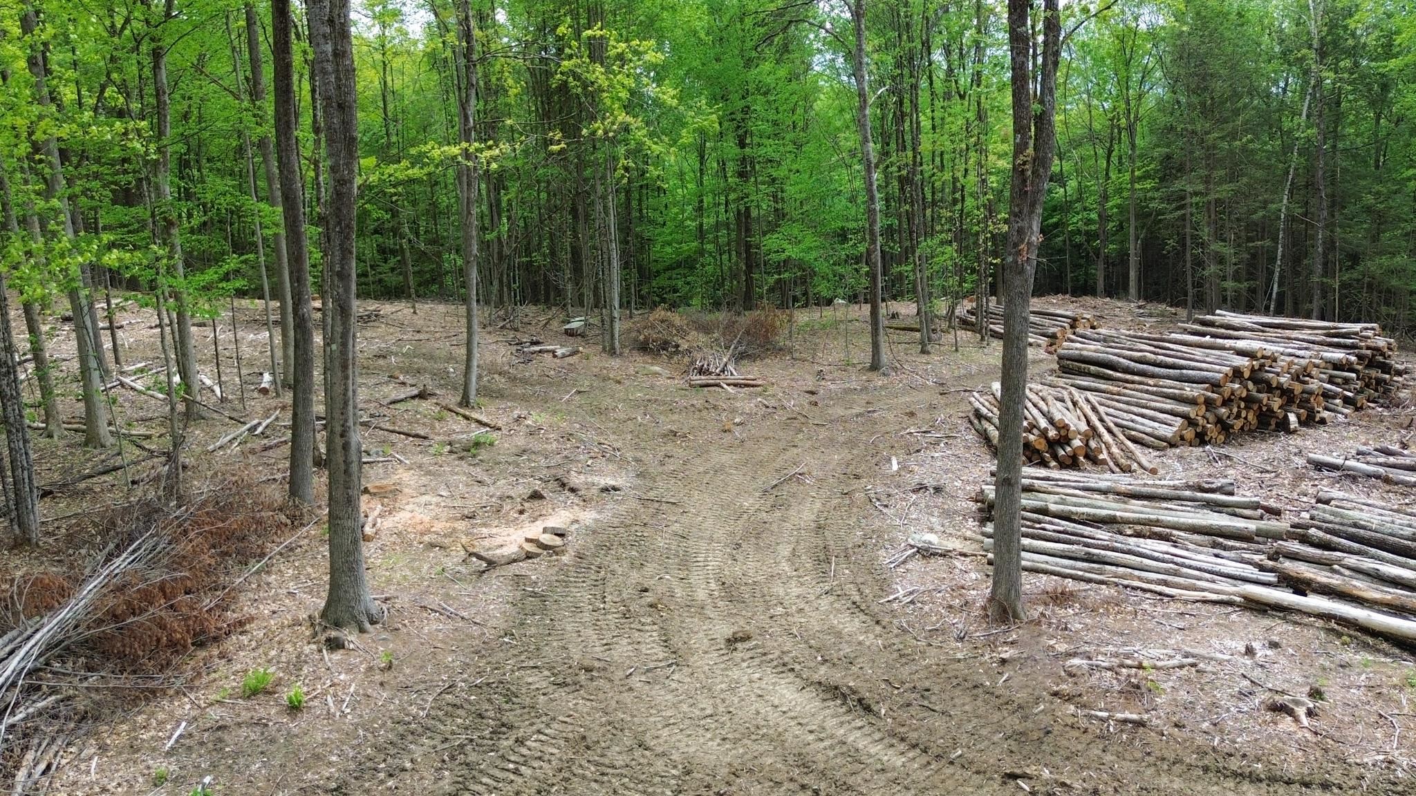 Lot 26-3 Plain Road Property Photo 6