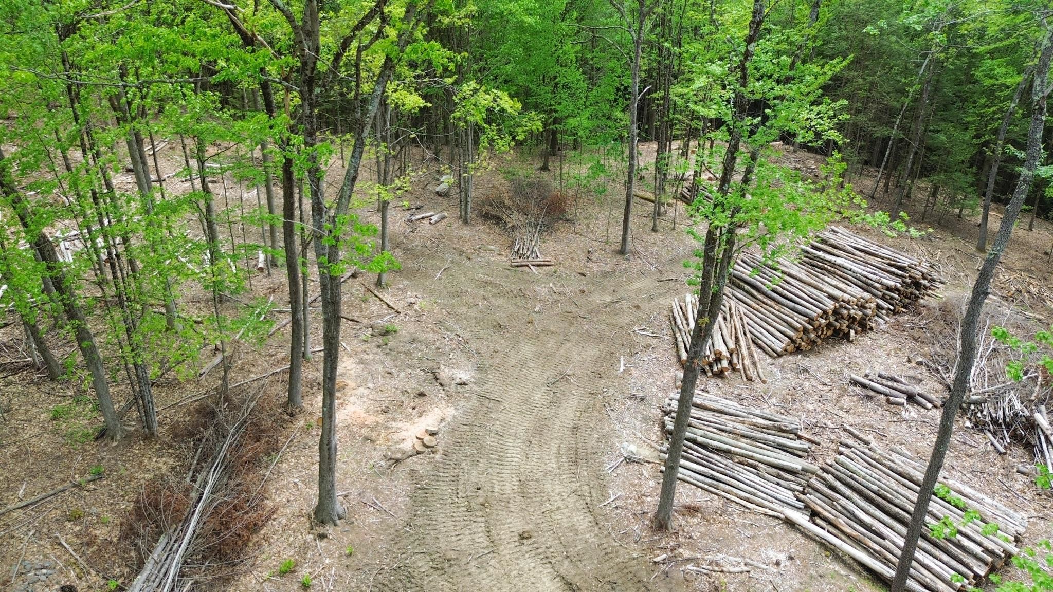 Lot 26-3 Plain Road Property Photo 7