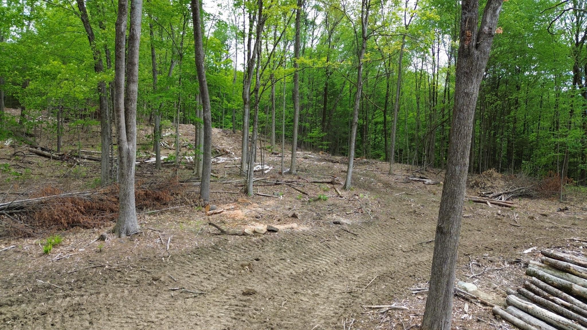 Lot 26-3 Plain Road Property Photo 8