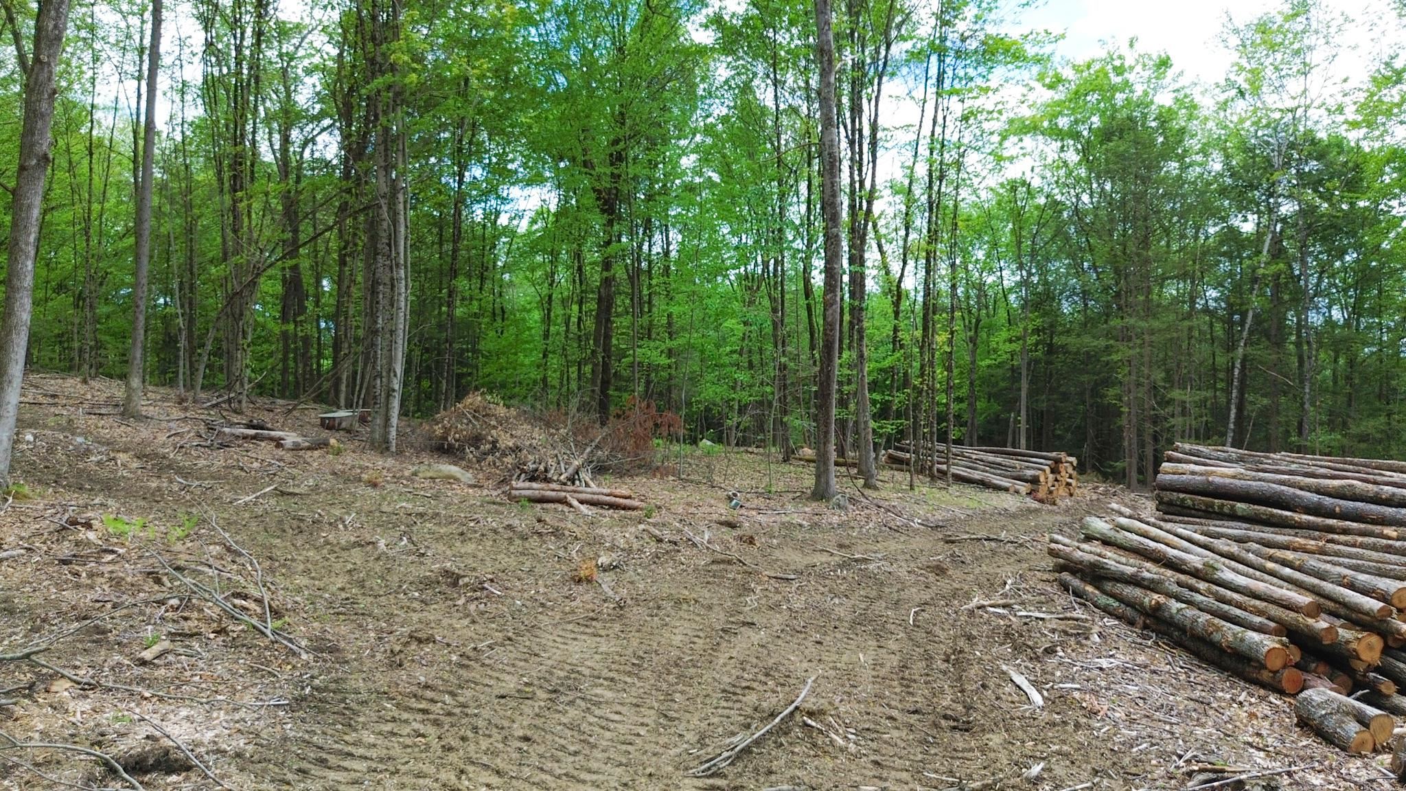 Lot 26-3 Plain Road Property Photo 9