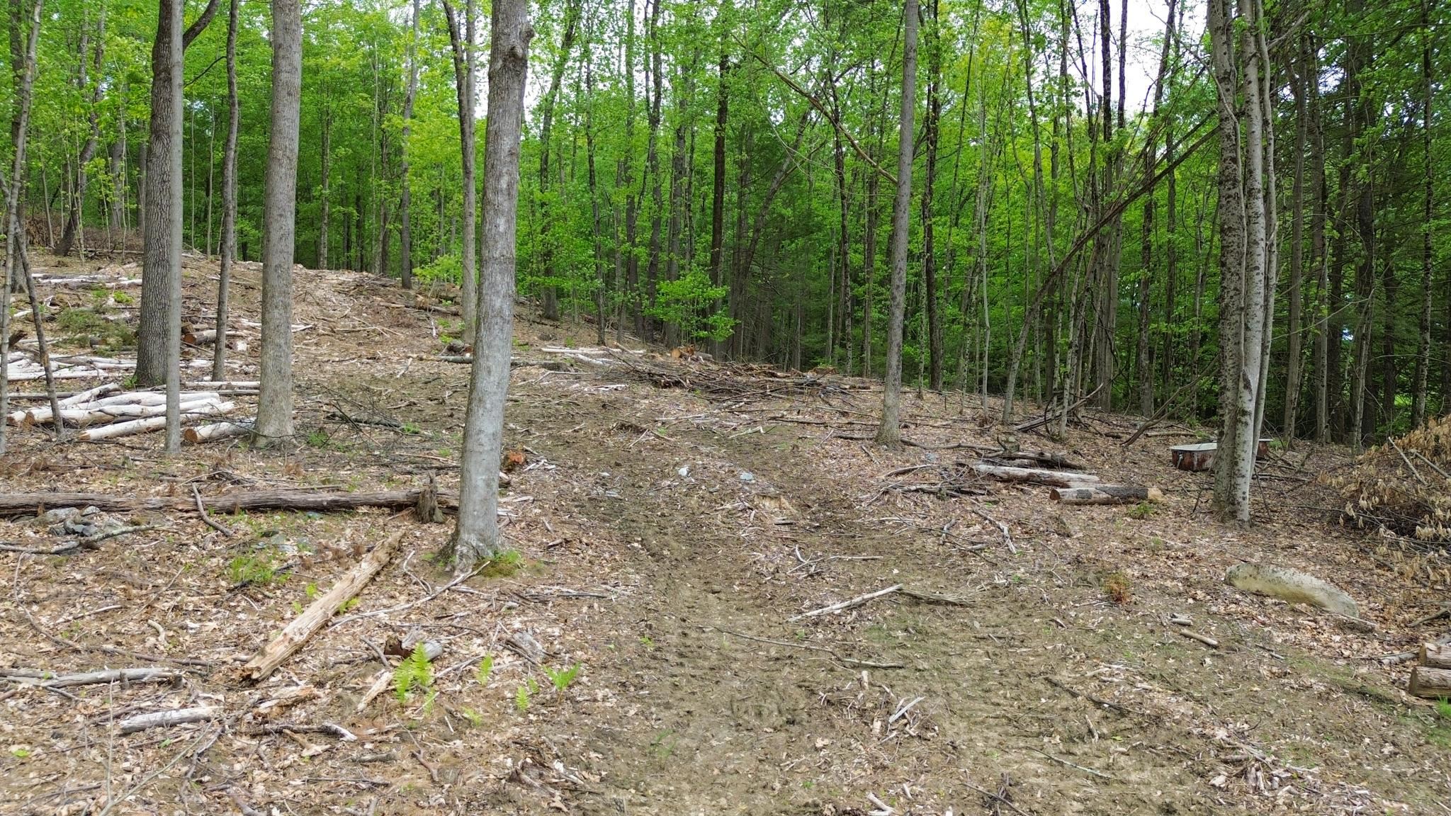 Lot 26-3 Plain Road Property Photo 10