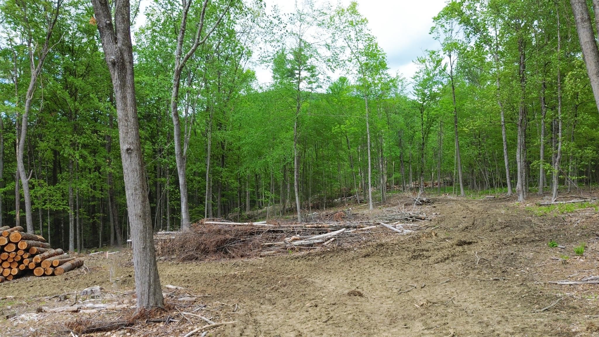 Lot 26-3 Plain Road Property Photo 11