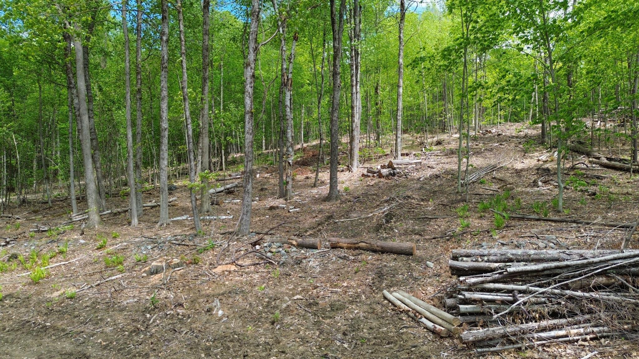 Lot 26-3 Plain Road Property Photo 12