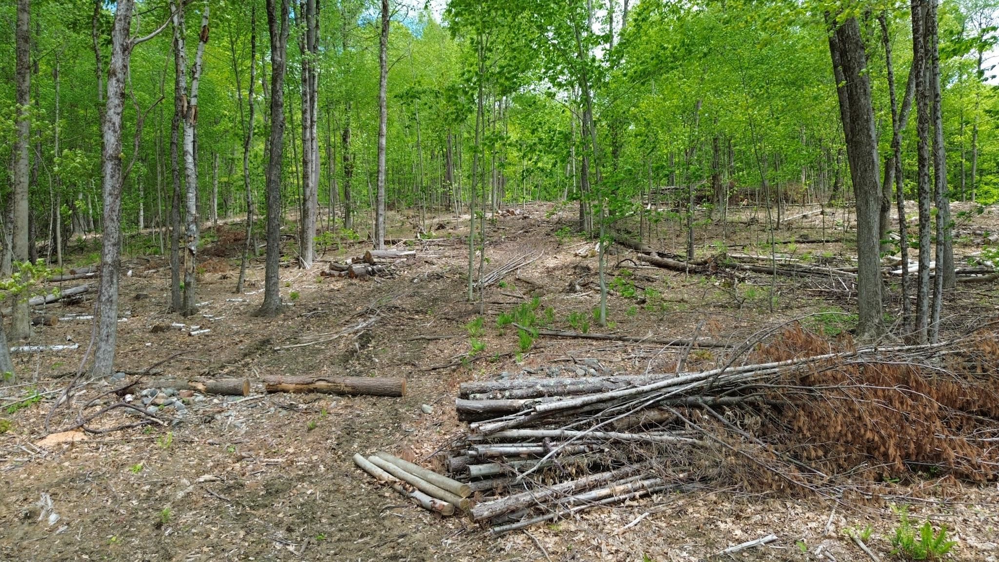 Lot 26-3 Plain Road Property Photo 13