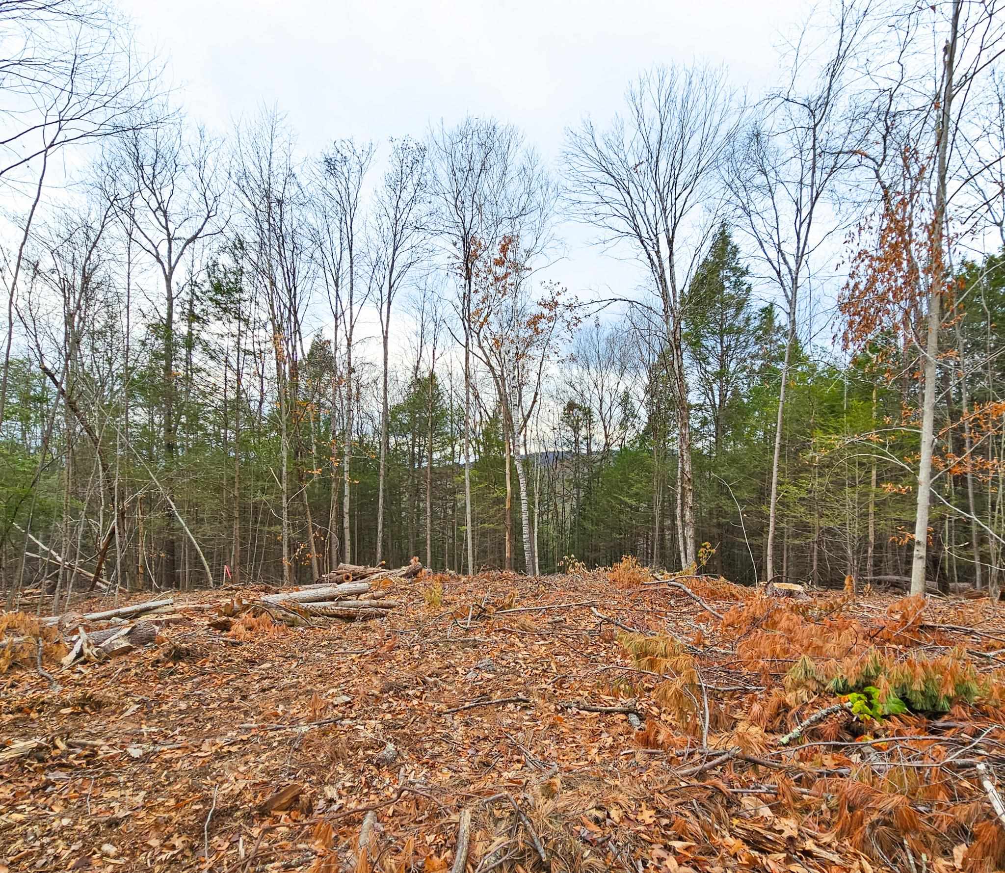 Lot 26-3 Plain Road Property Photo 19