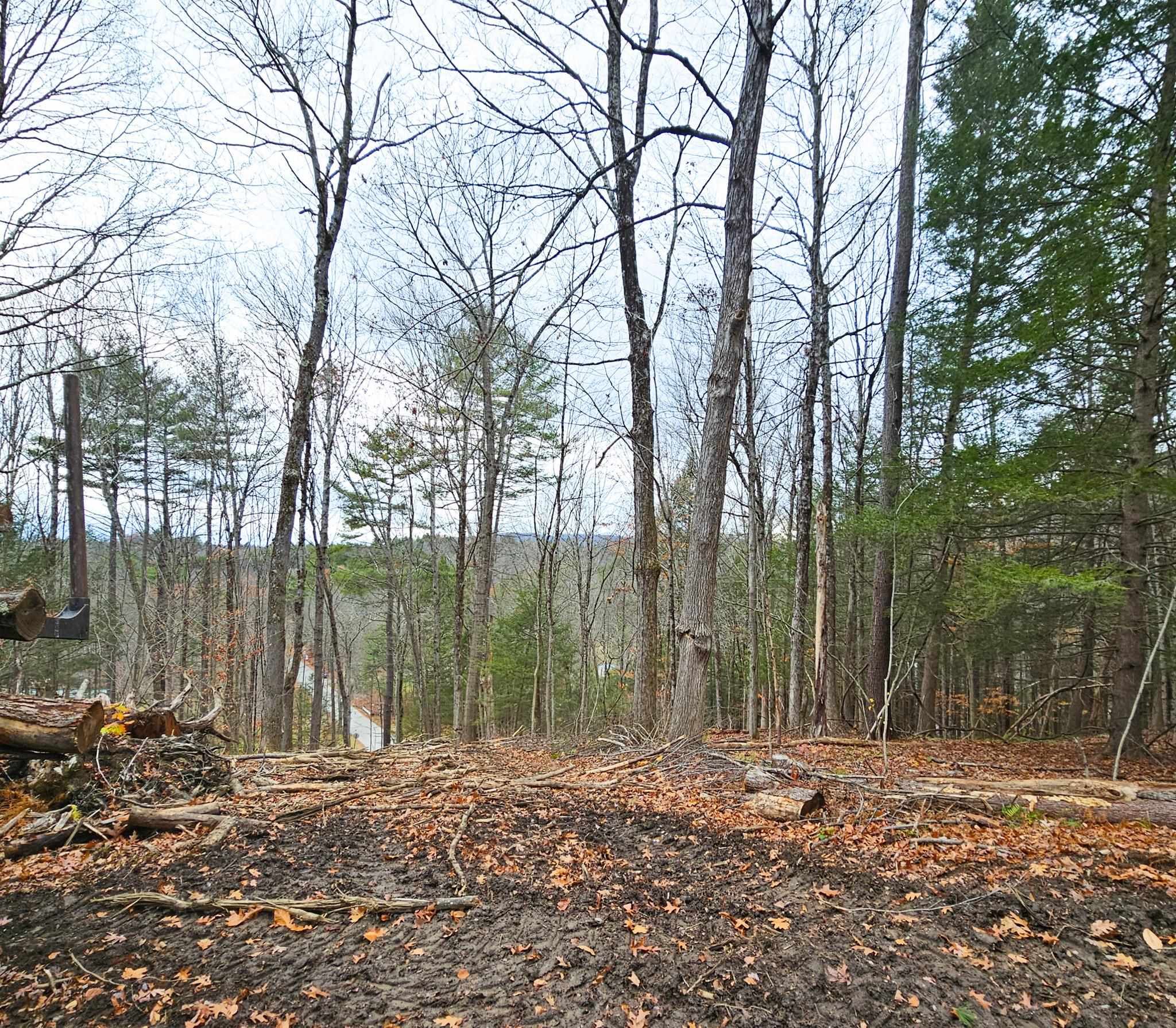Lot 26-3 Plain Road Property Photo 20