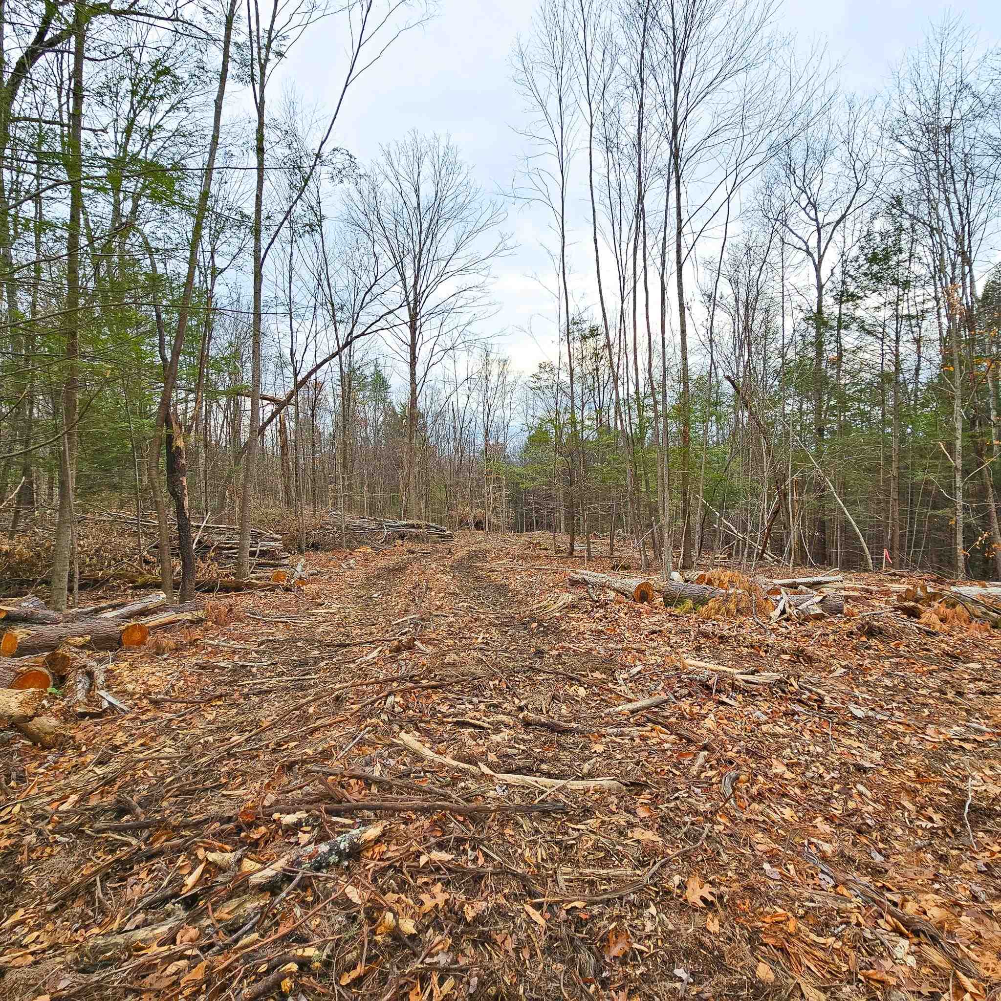 Lot 26-3 Plain Road Property Photo 21