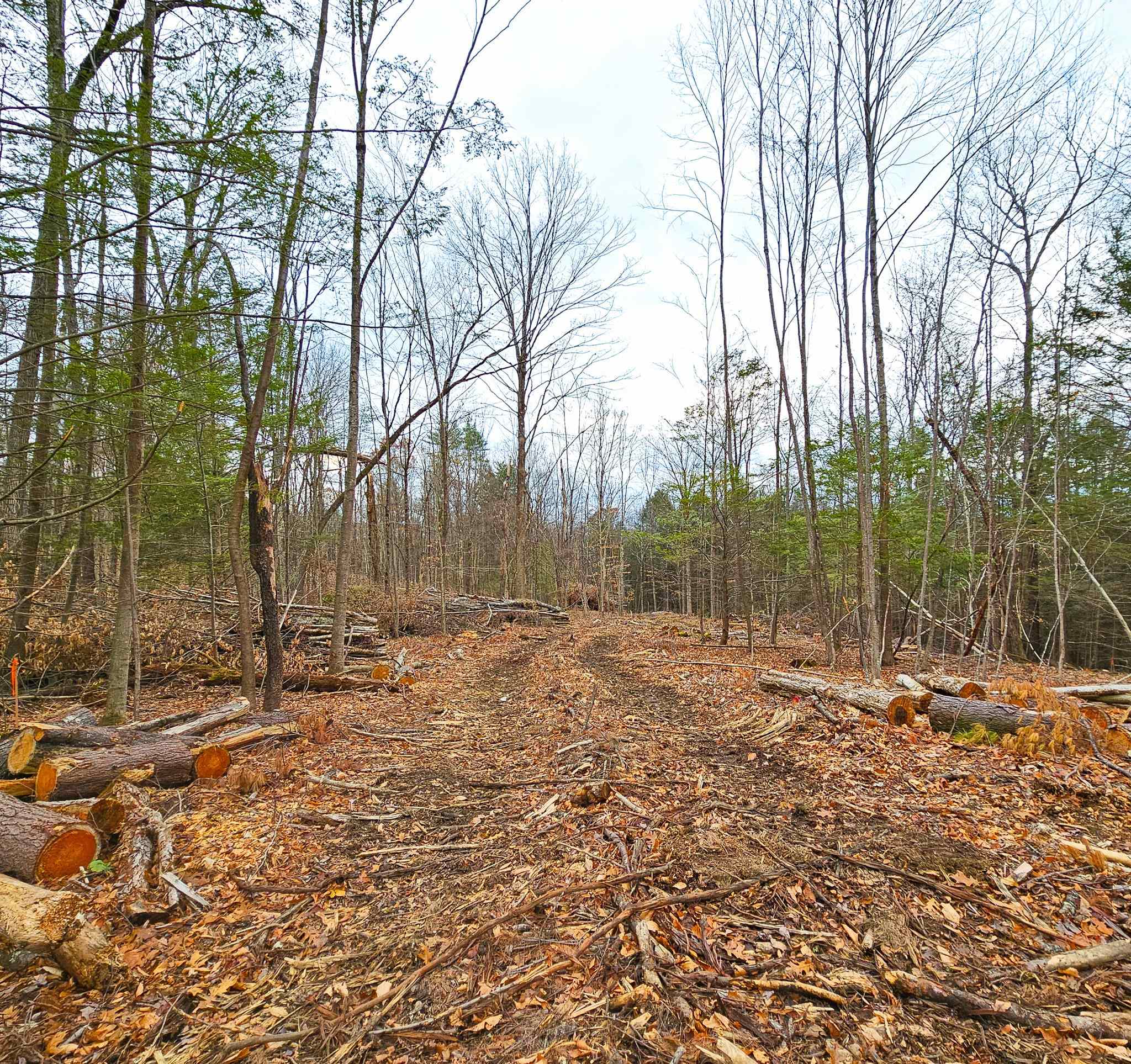 Lot 26-3 Plain Road Property Photo 22
