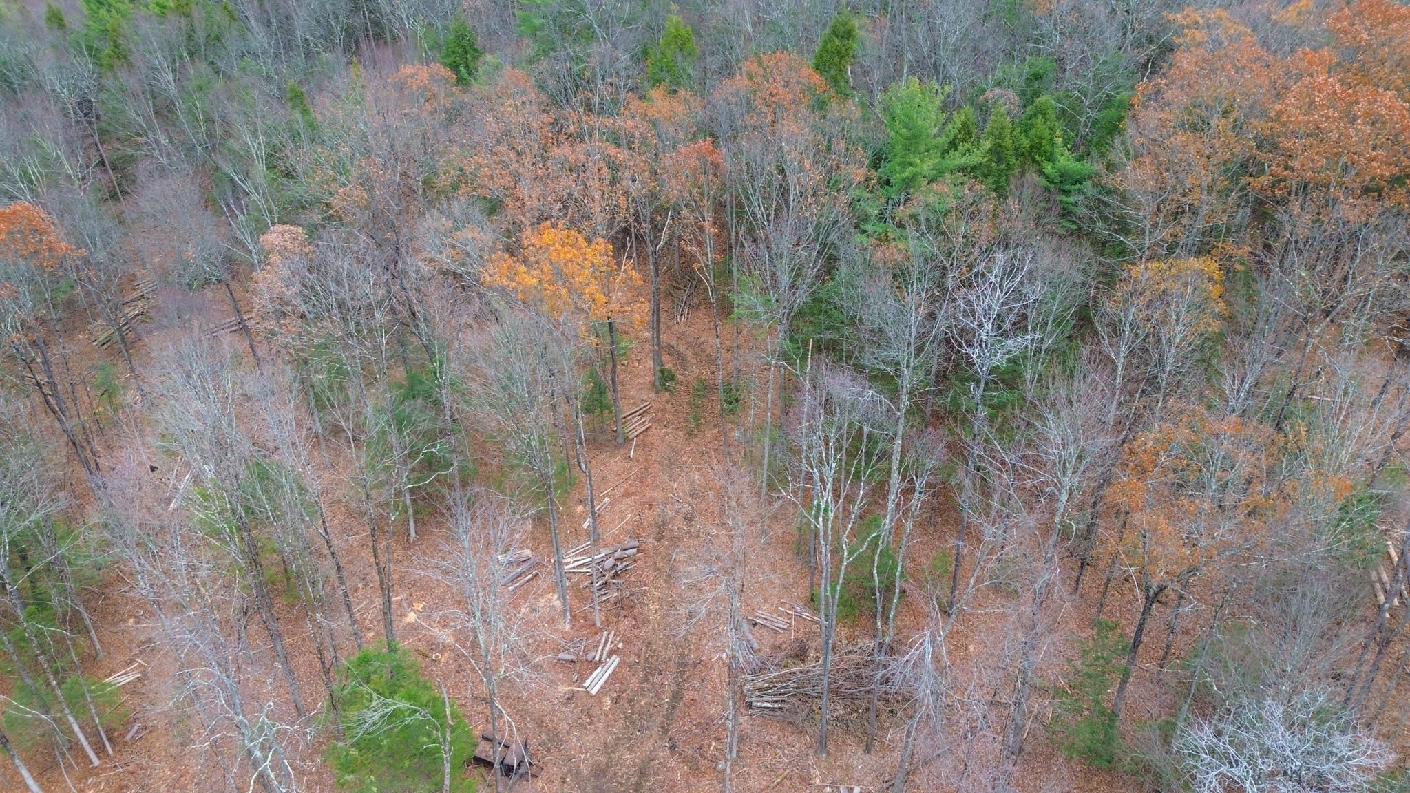 Lot 26-3 Plain Road Property Photo 23