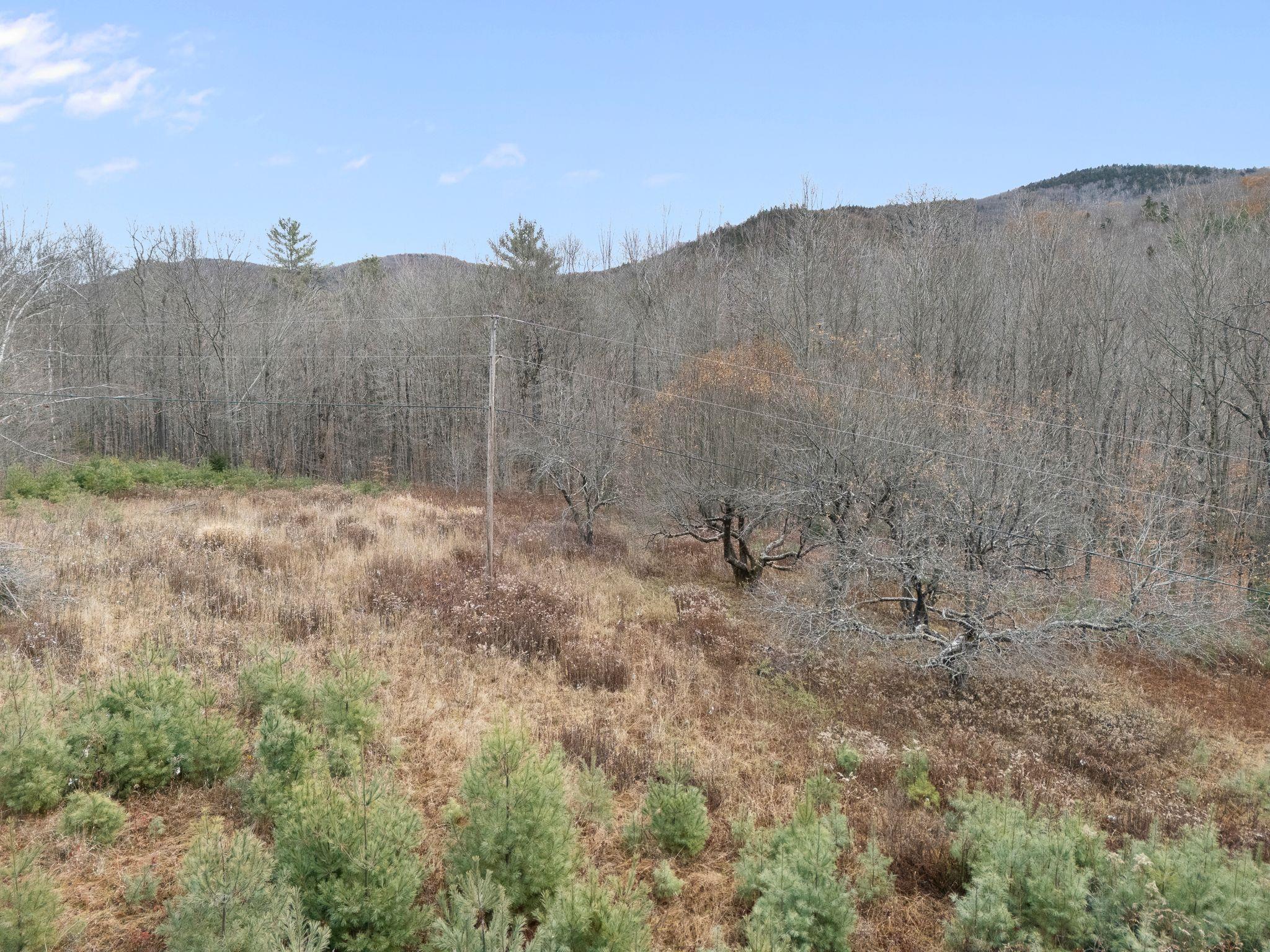 00 Contro Road Property Photo 1