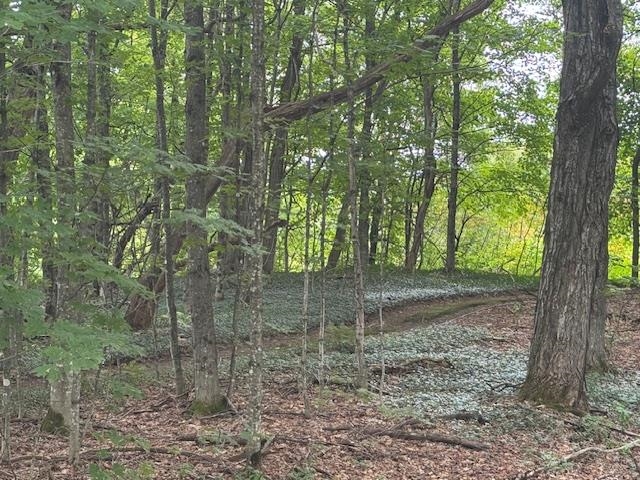 190 Upper Edsall Road Property Photo 46