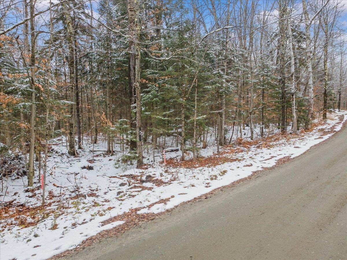 93 White Birch Road Property Photo 12
