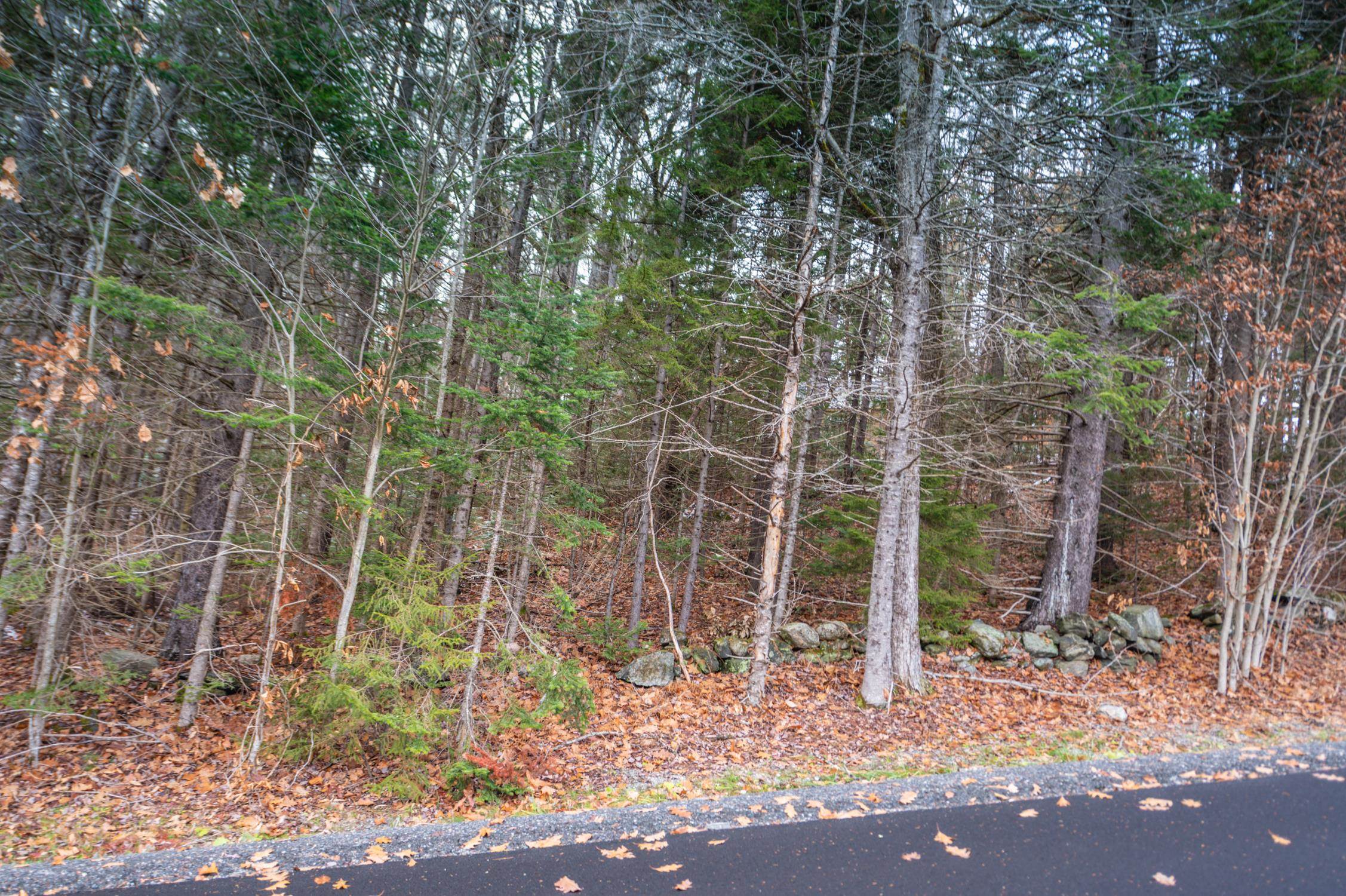 63 Villager Loop Property Photo 2