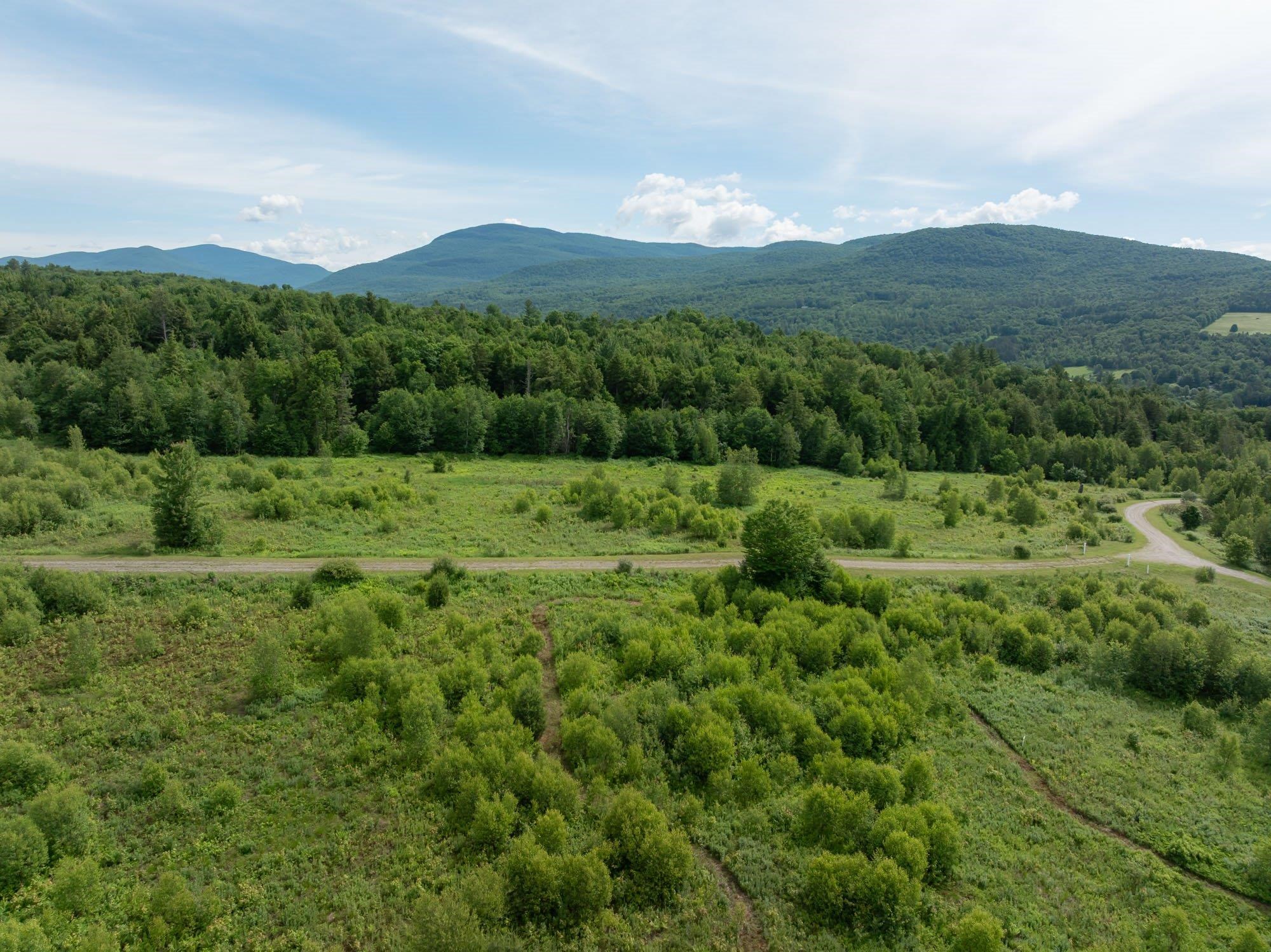 00 Birch Tree Lane Property Photo 6