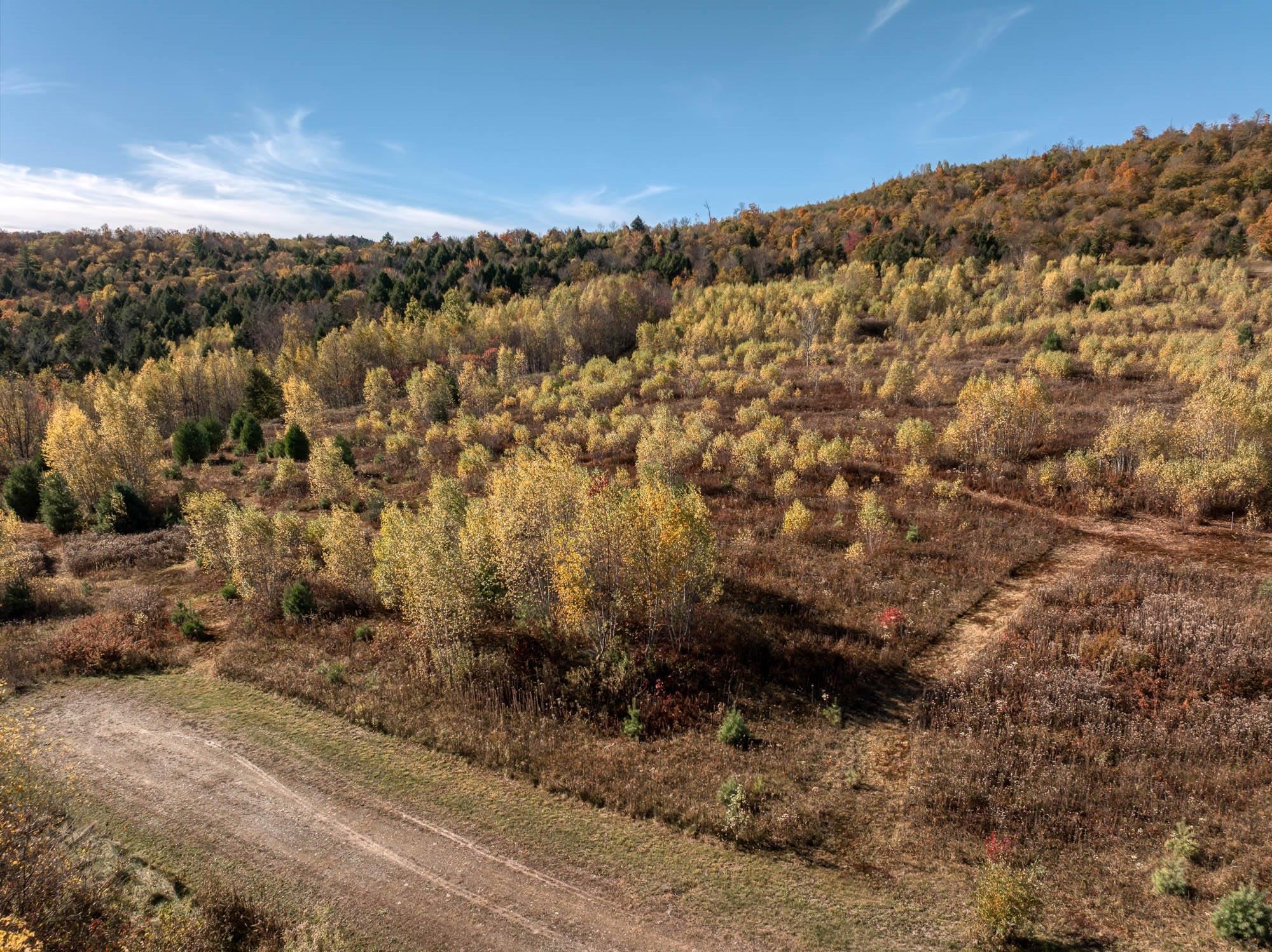00 Birch Tree Lane Property Photo 15