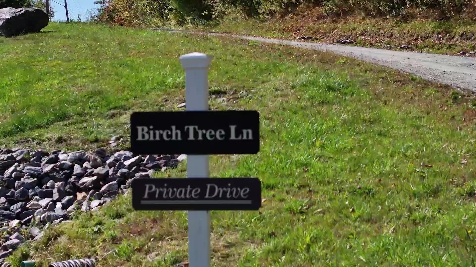 00 Birch Tree Lane Property Photo 3