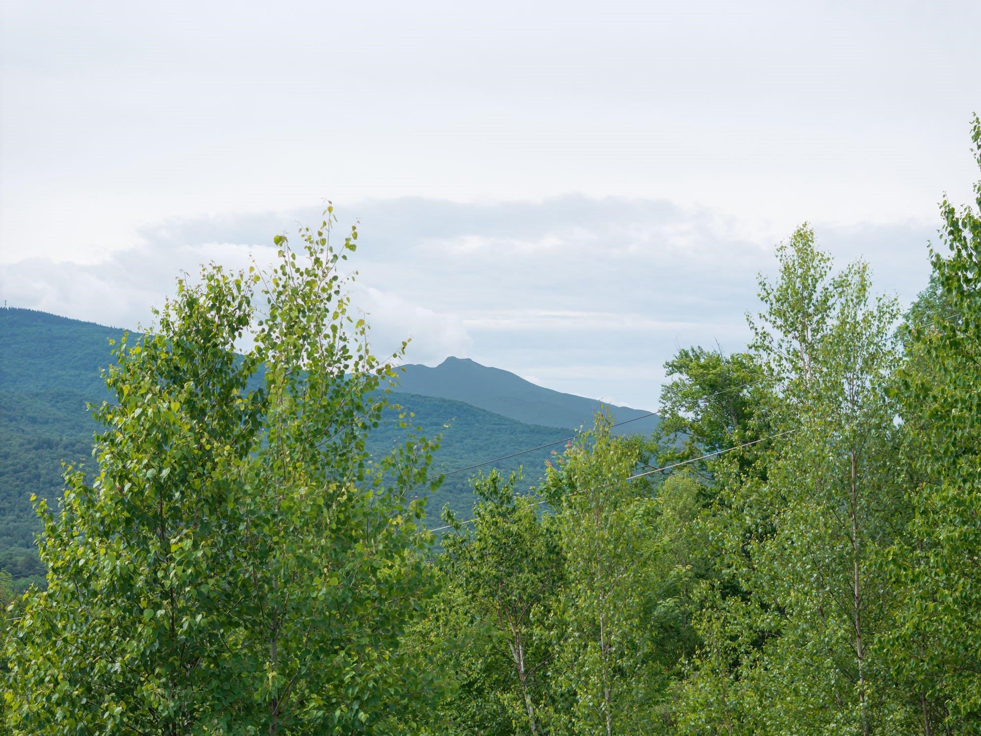 00 Birch Tree Lane Property Photo 13