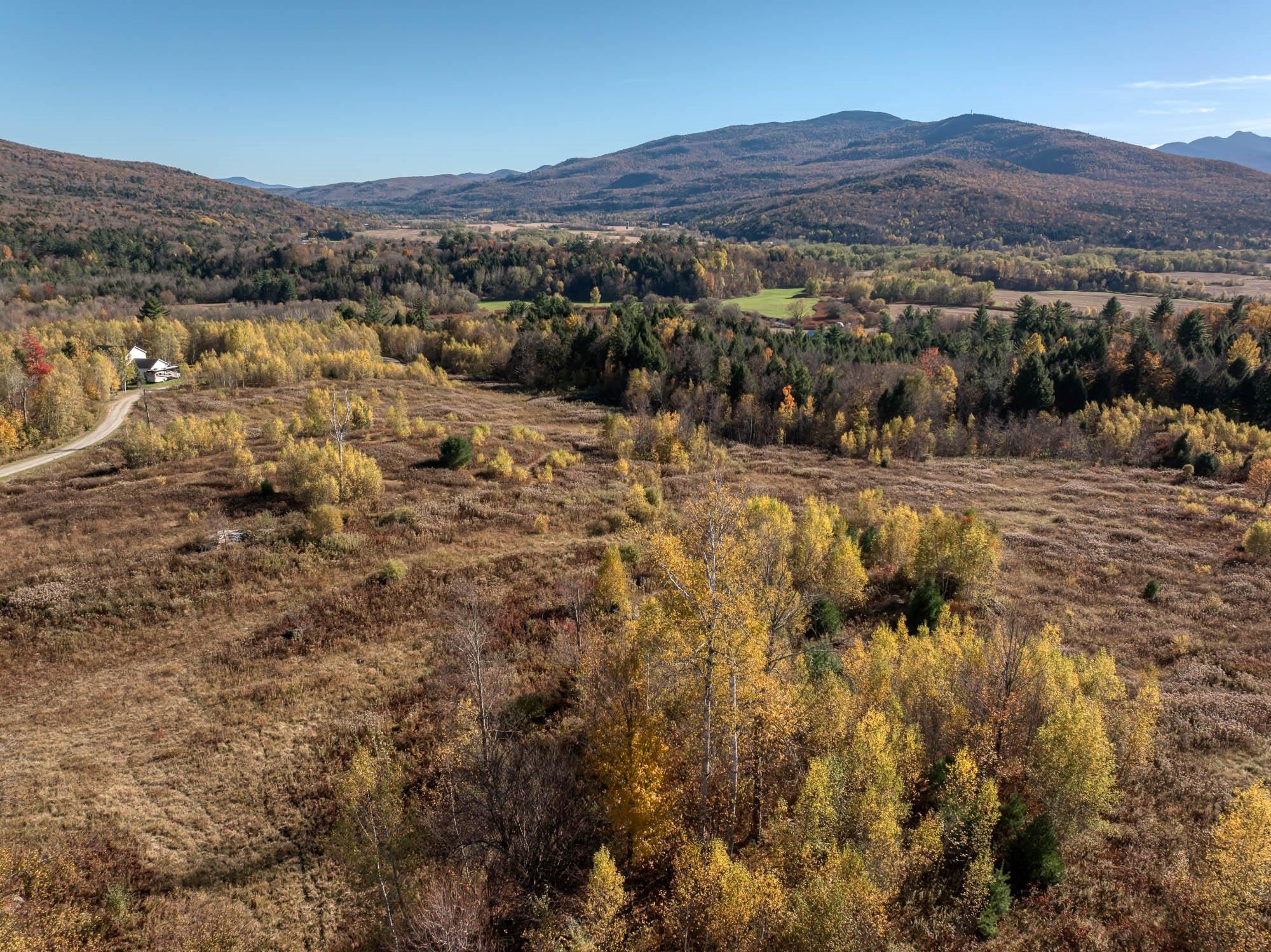 00 Birch Tree Lane Property Photo 29