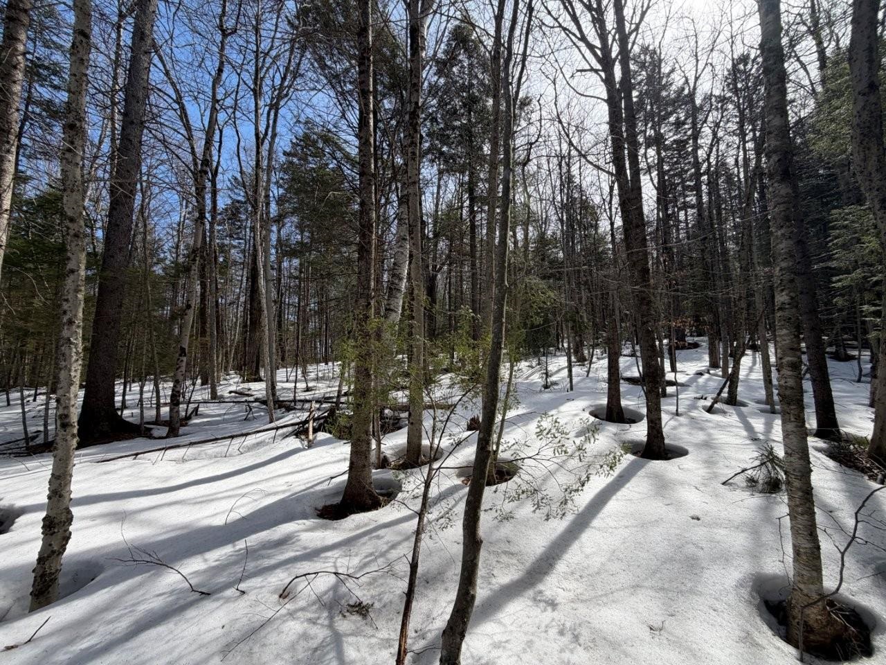 311 Beechwood Lane Property Photo 16