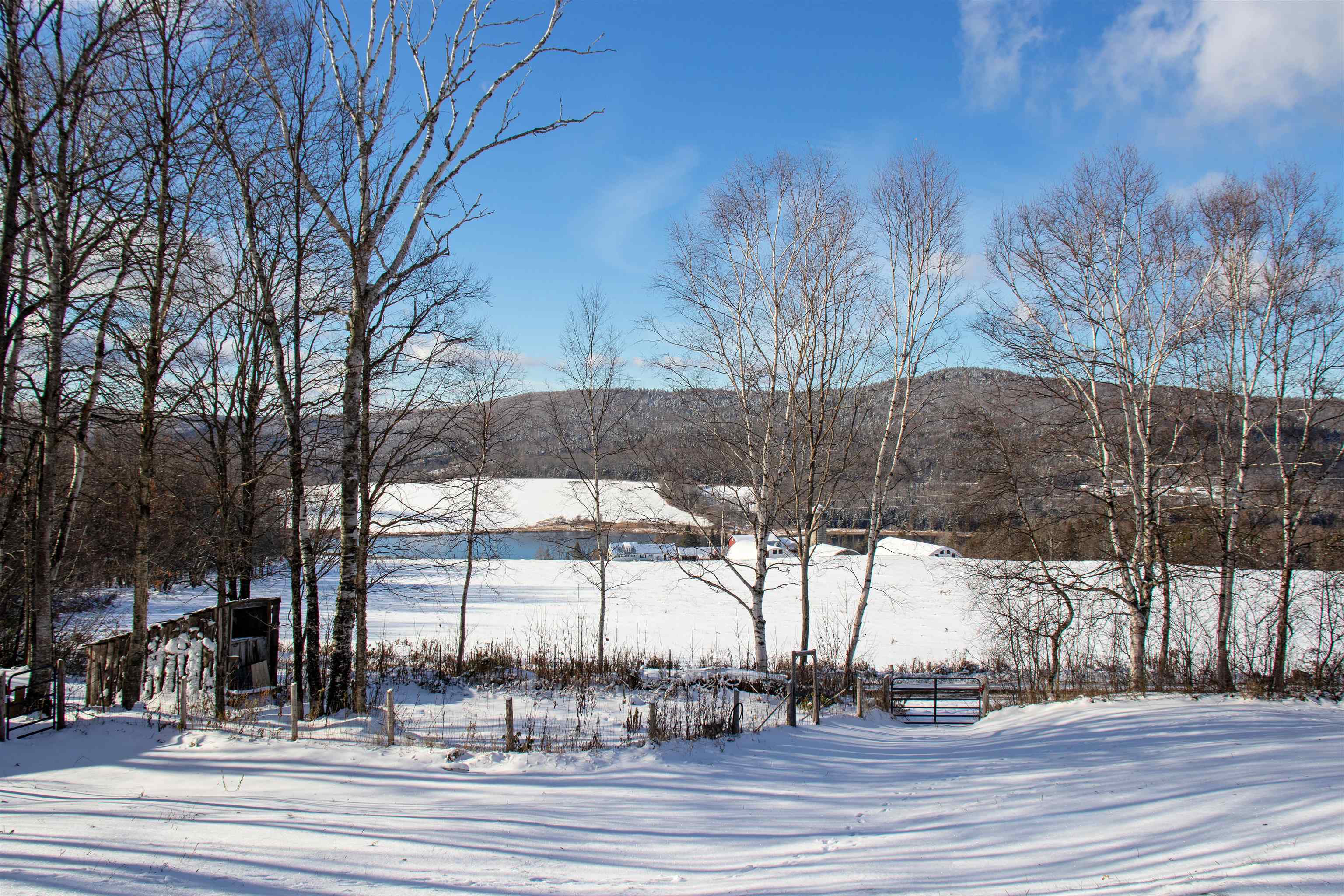 433 Young Farm Road Property Photo 55
