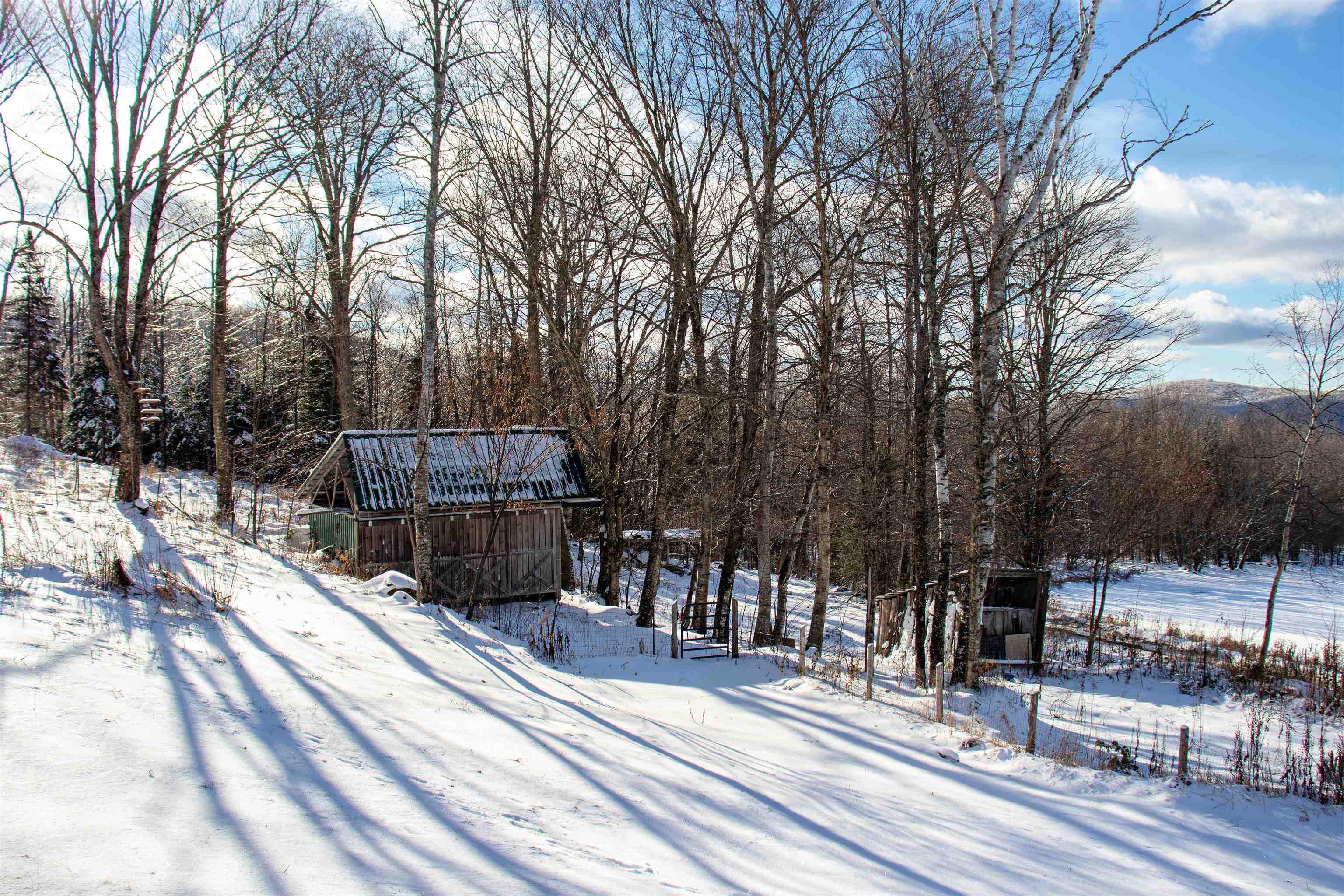 433 Young Farm Road Property Photo 57