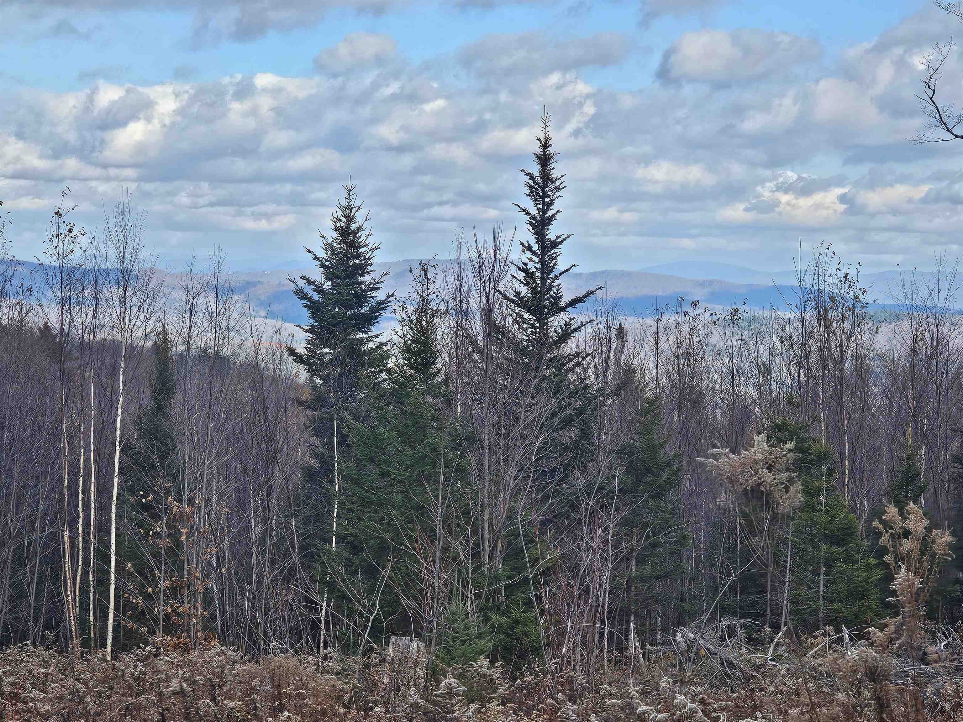706 VT Route 100 Property Photo 1