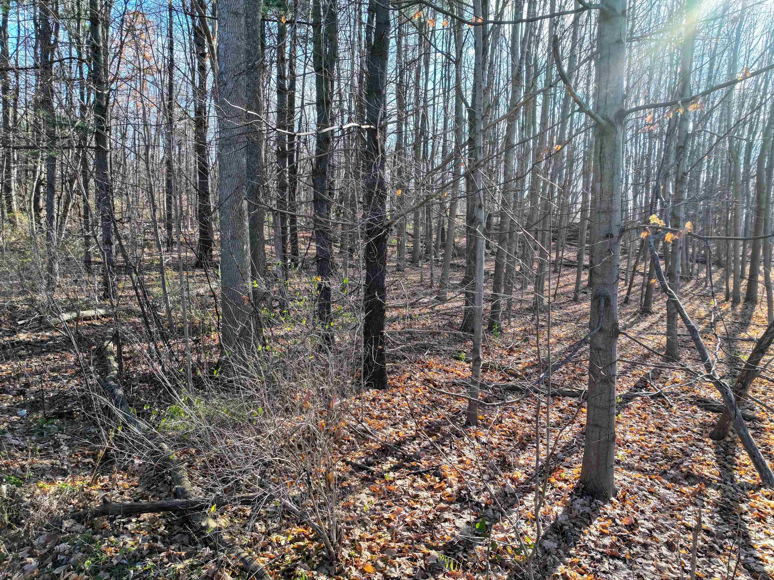 Tbd Route 7 S Property Photo 11