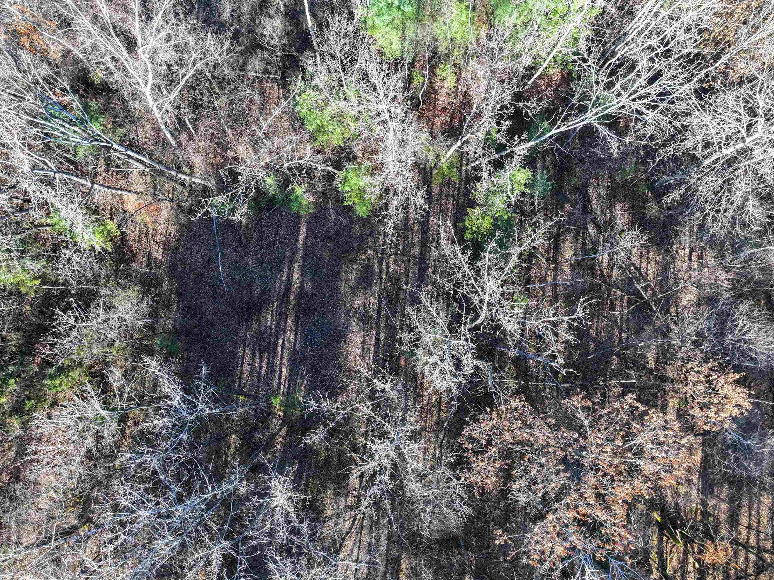Tbd Route 7 S Property Photo 12
