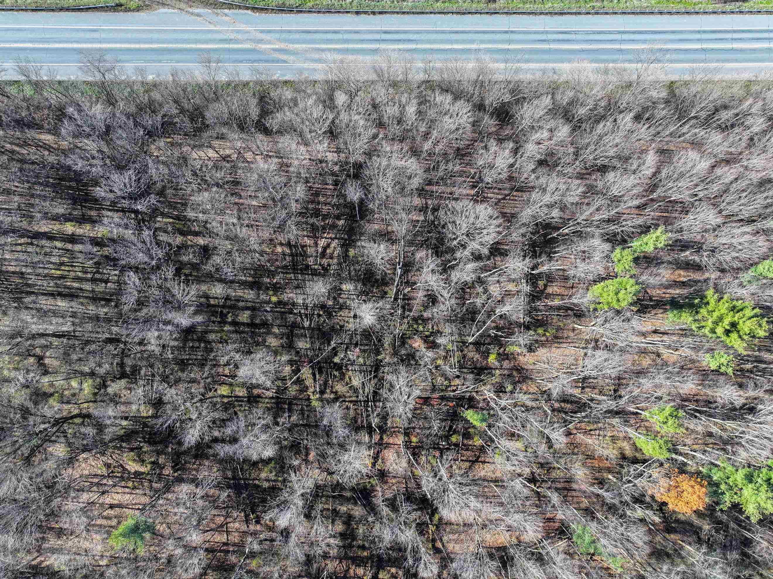 Tbd Route 7 S Property Photo 14