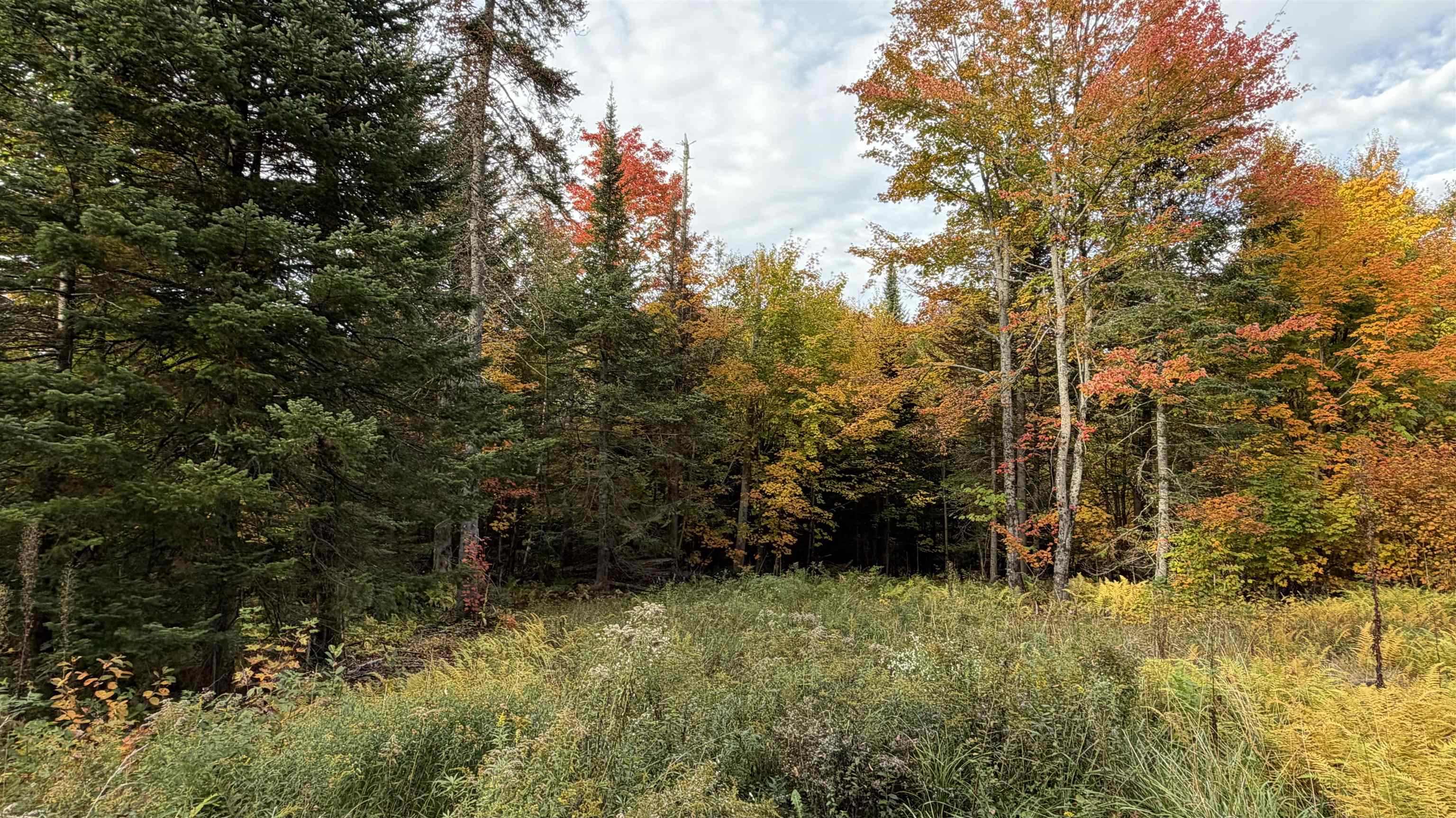 0 Shadow Lake Road Property Photo 1