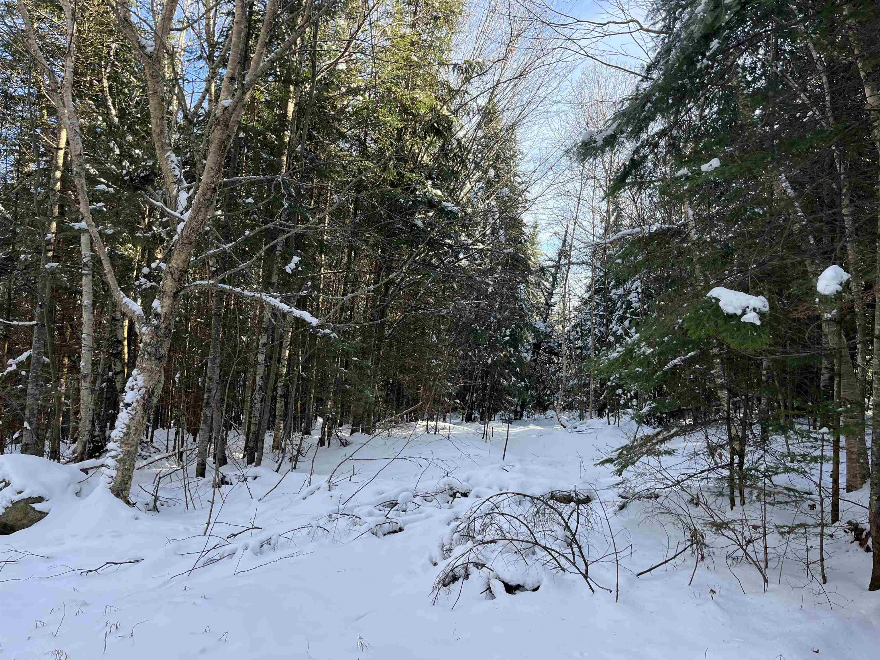 0 Shadow Lake Road Property Photo 3