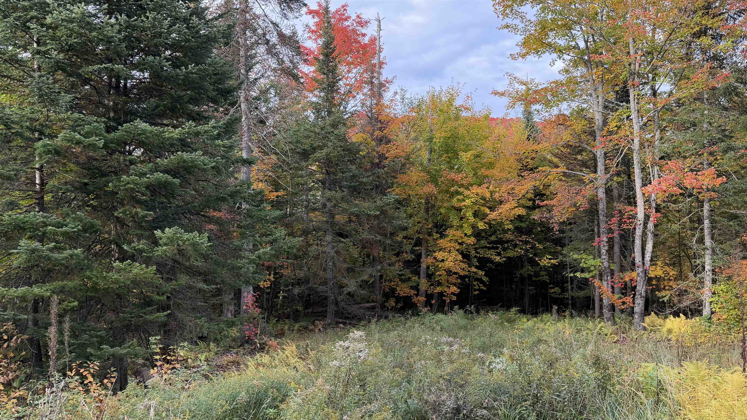 0 Shadow Lake Road Property Photo 5