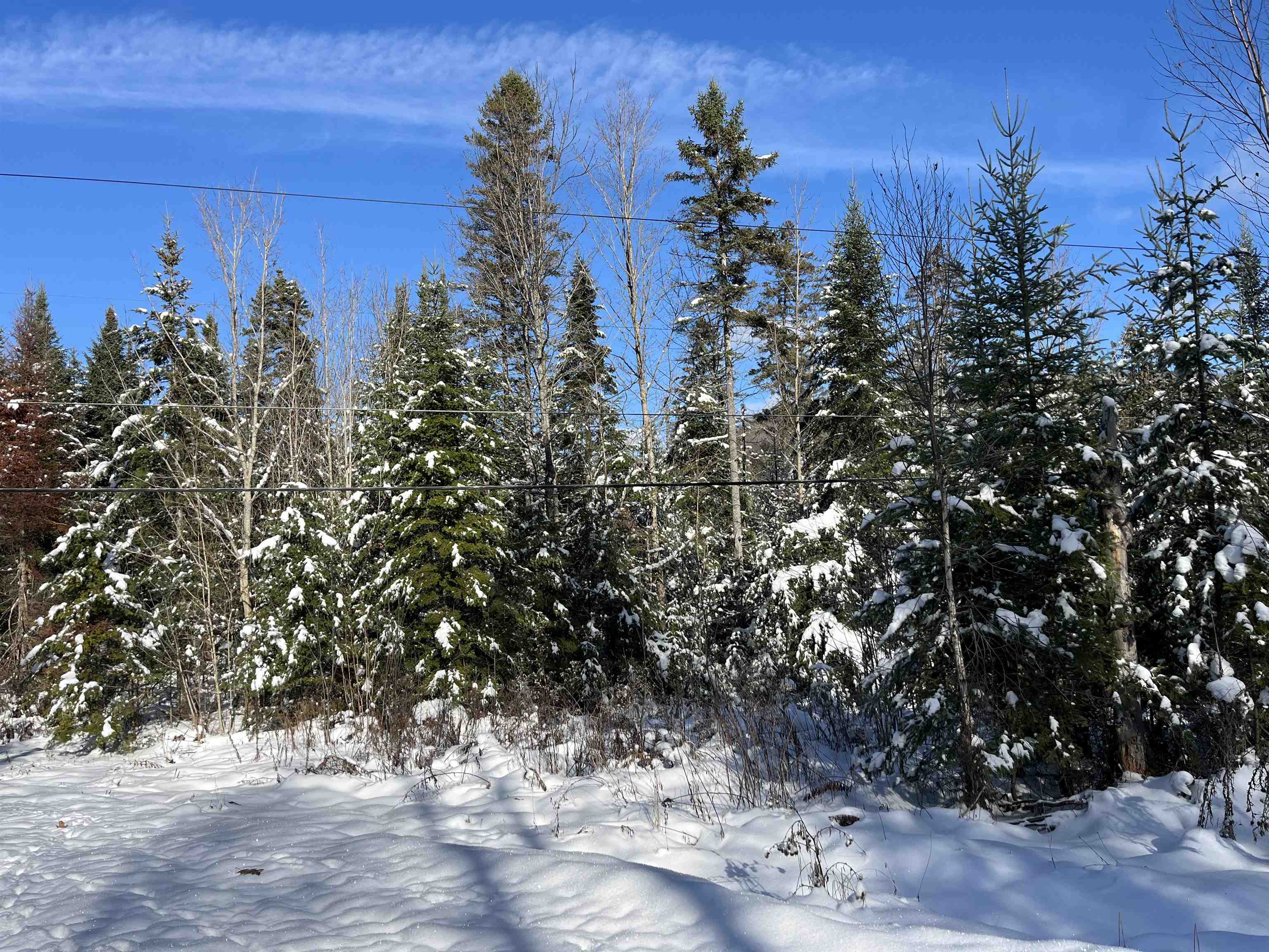 0 Shadow Lake Road Property Photo 6