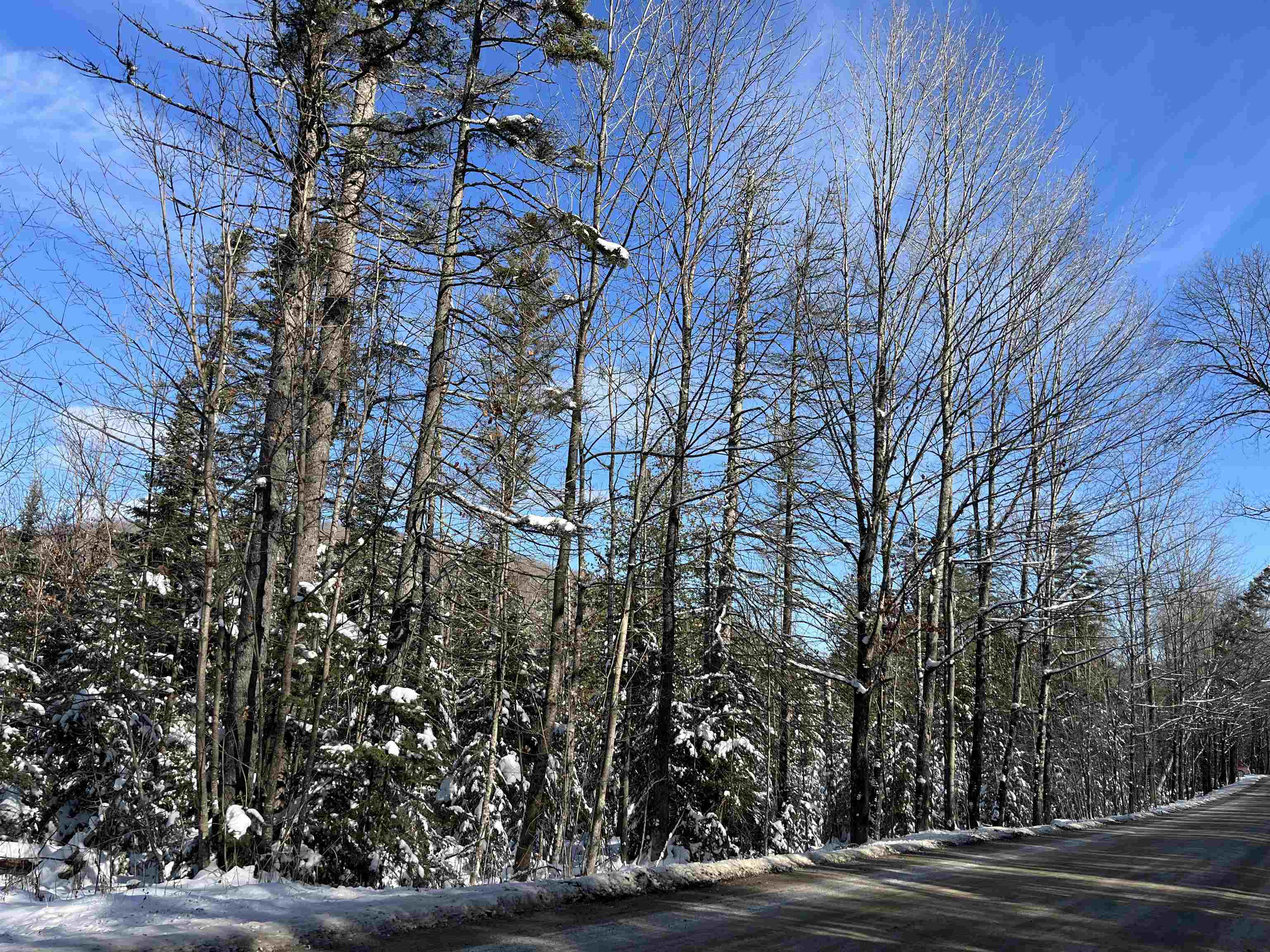 0 Shadow Lake Road Property Photo 8
