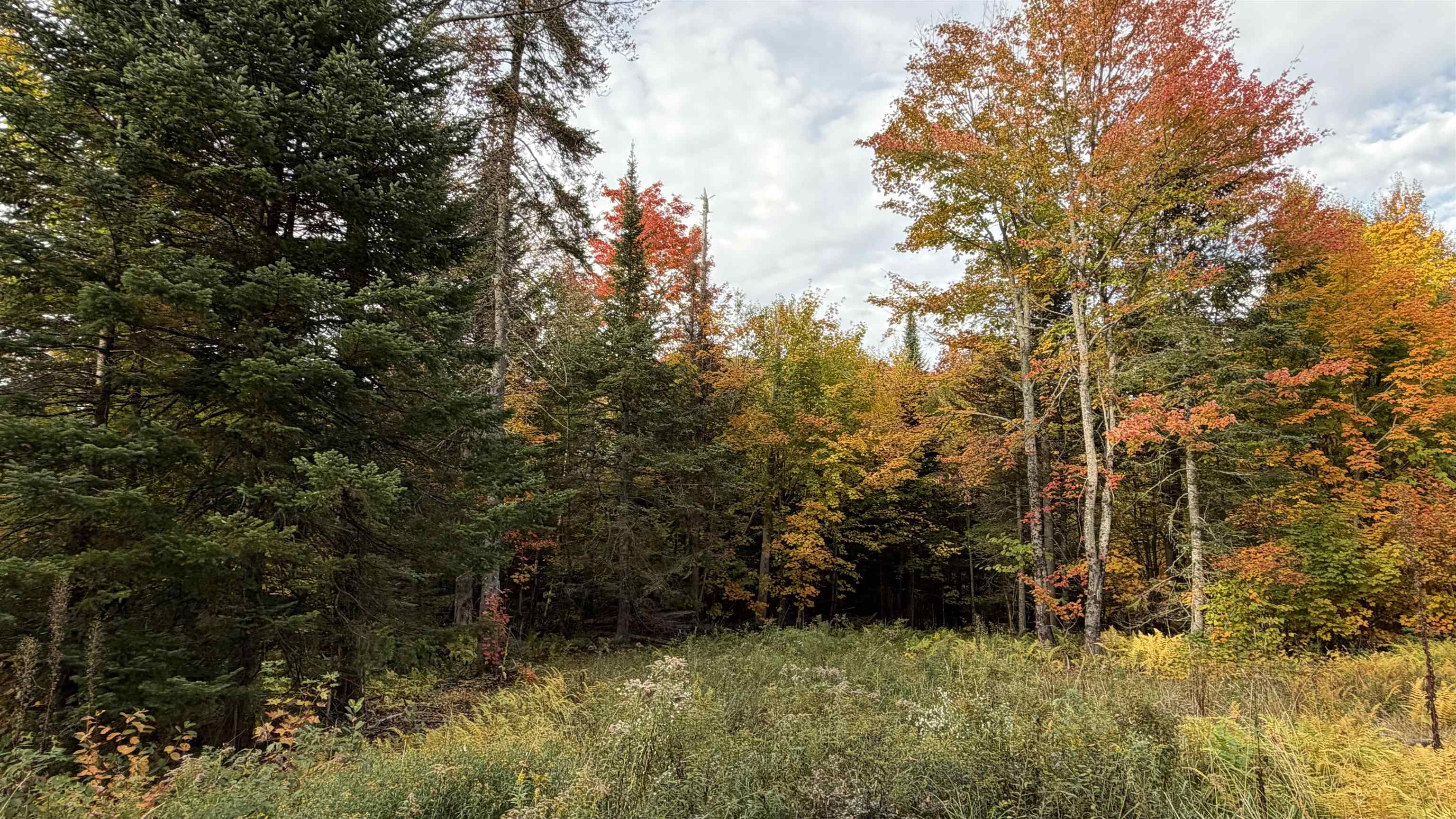 0 Shadow Lake Road Property Photo 8