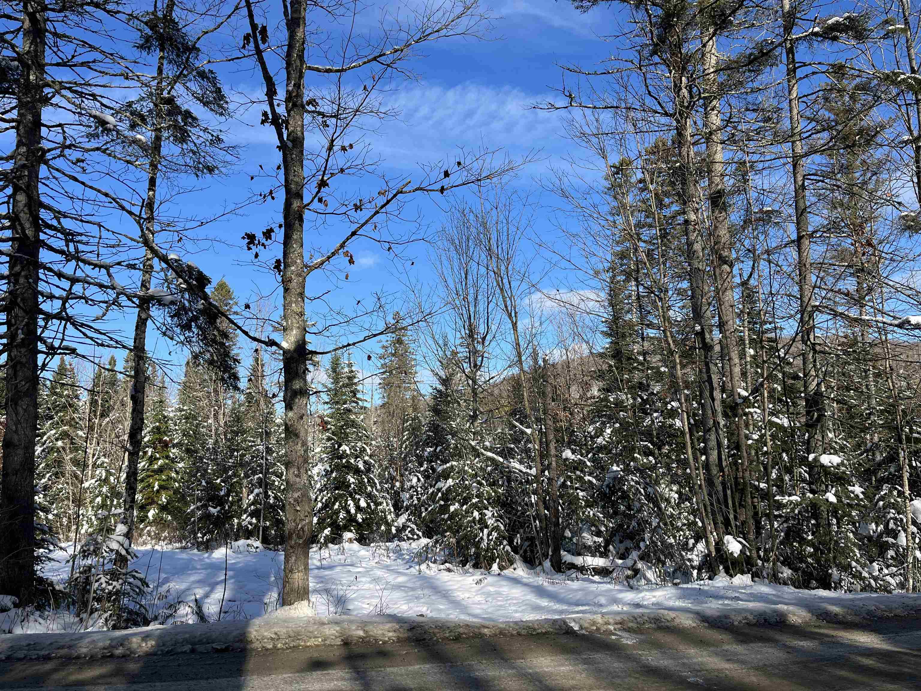 0 Shadow Lake Road Property Photo 9