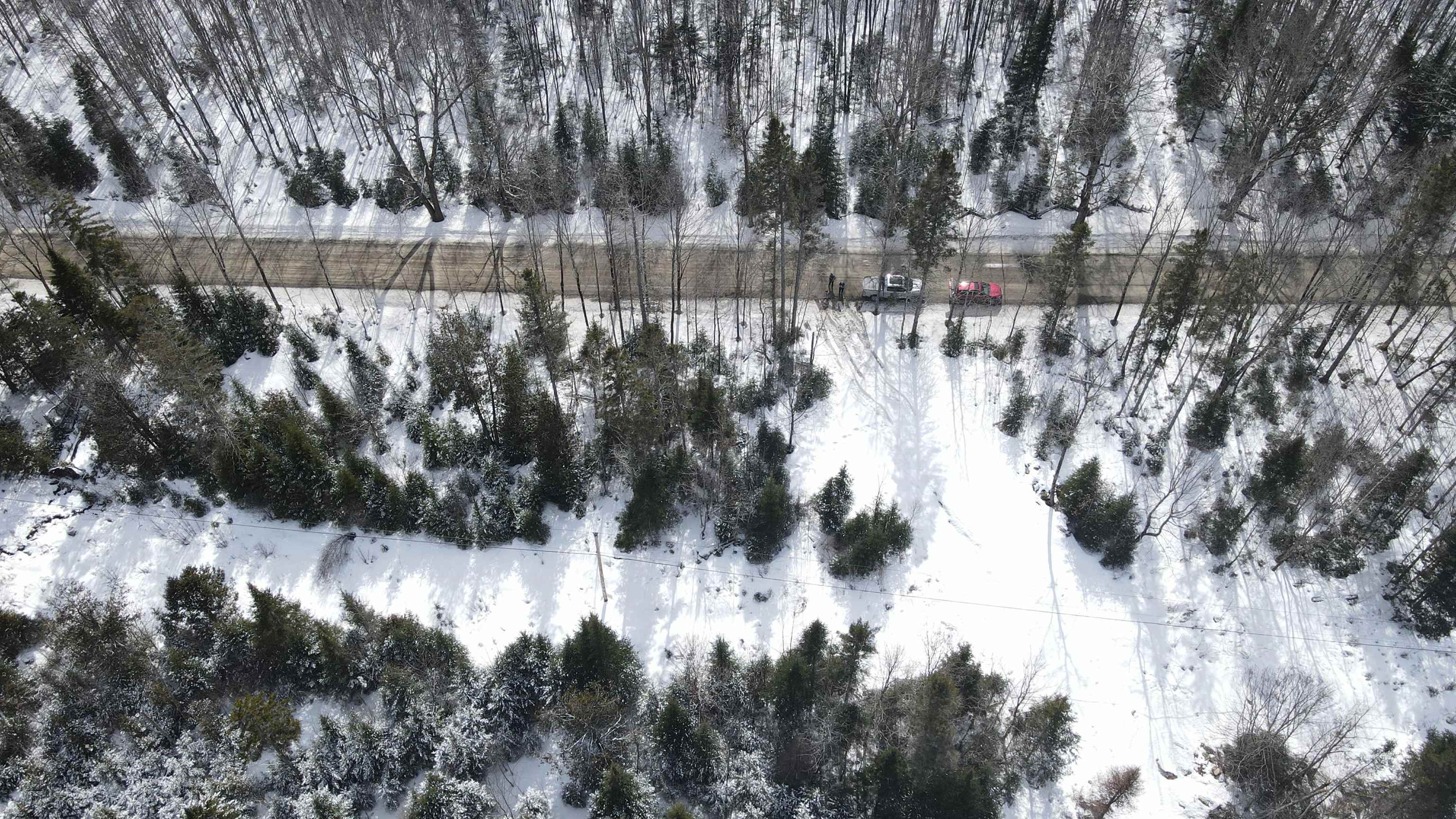 0 Shadow Lake Road Property Photo 12