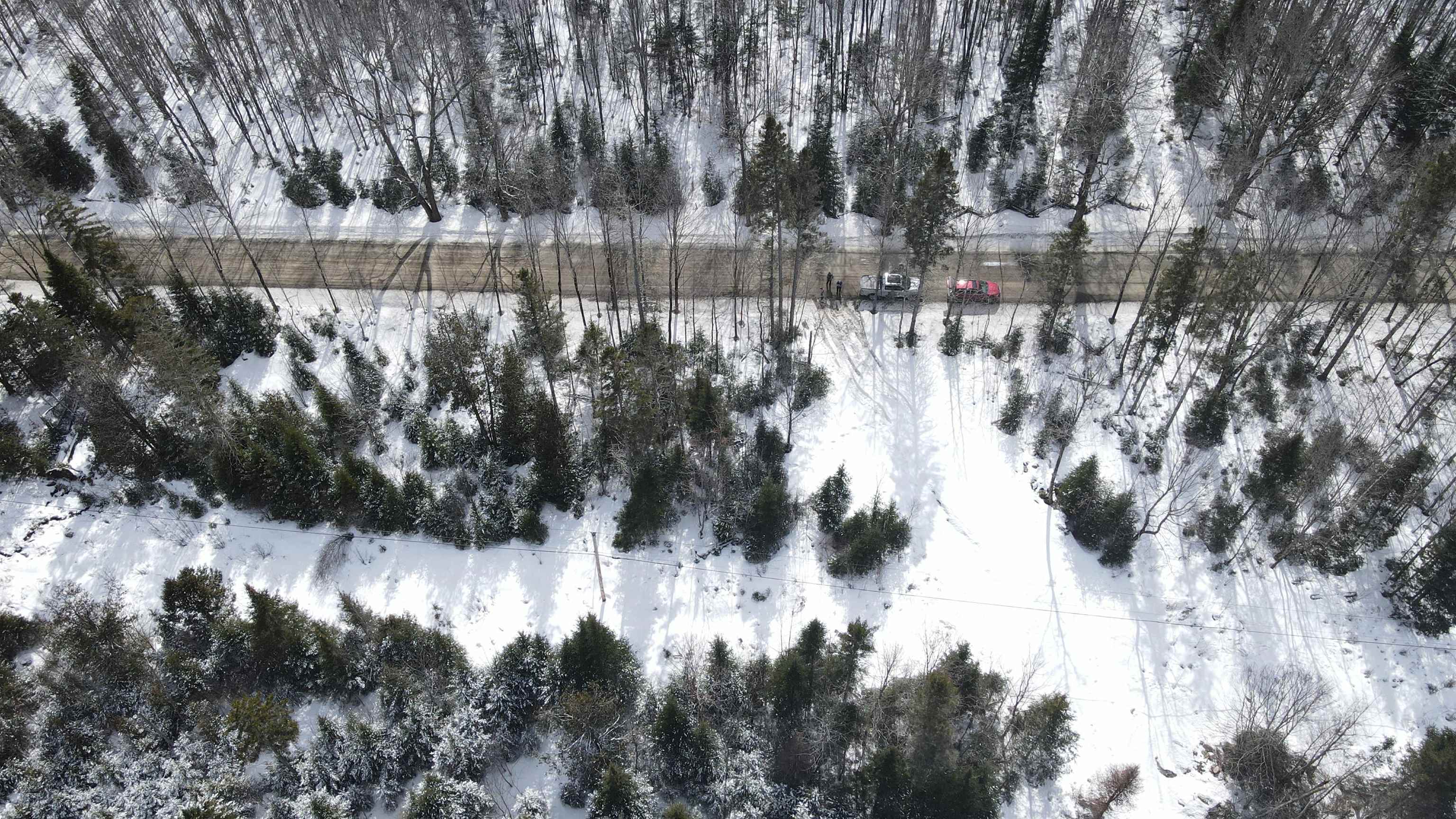 0 Shadow Lake Road Property Photo 13