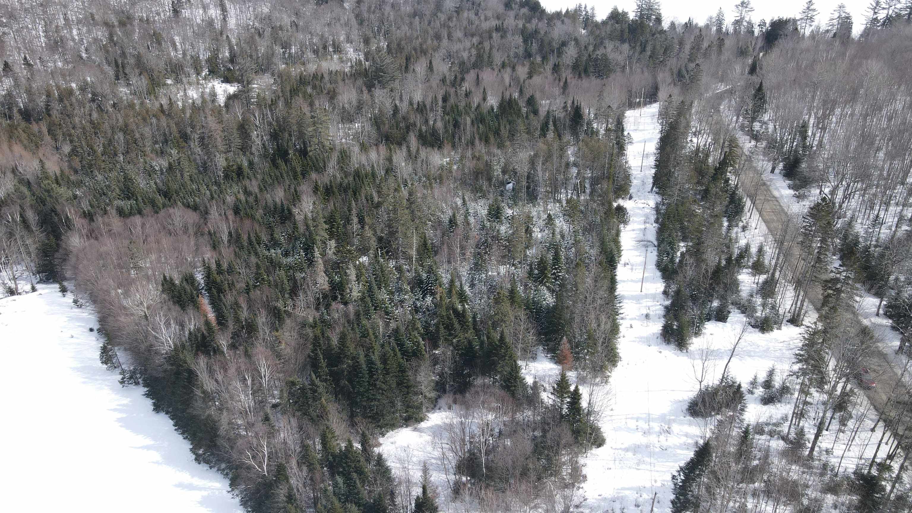 0 Shadow Lake Road Property Photo 18