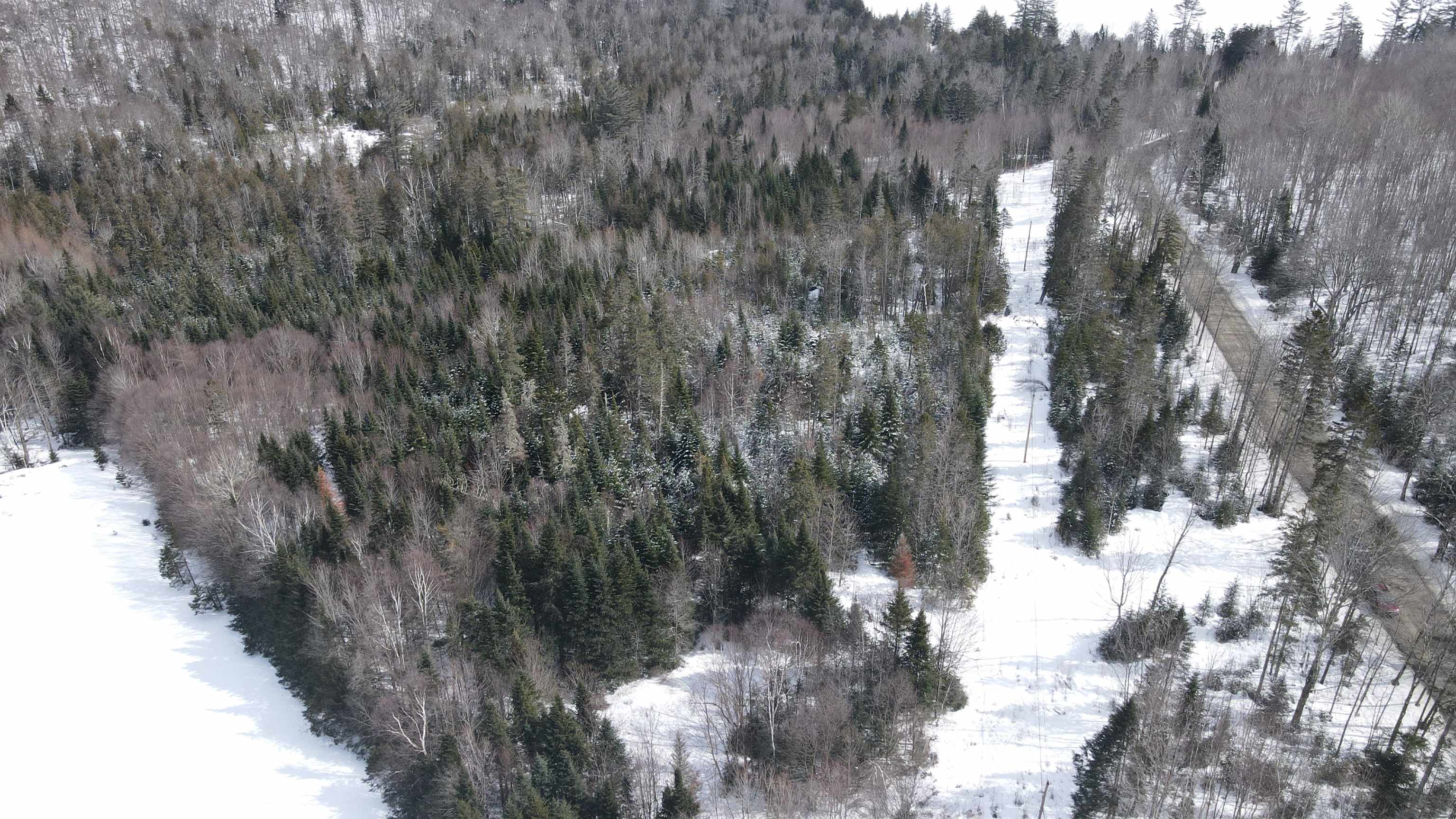 0 Shadow Lake Road Property Photo 19