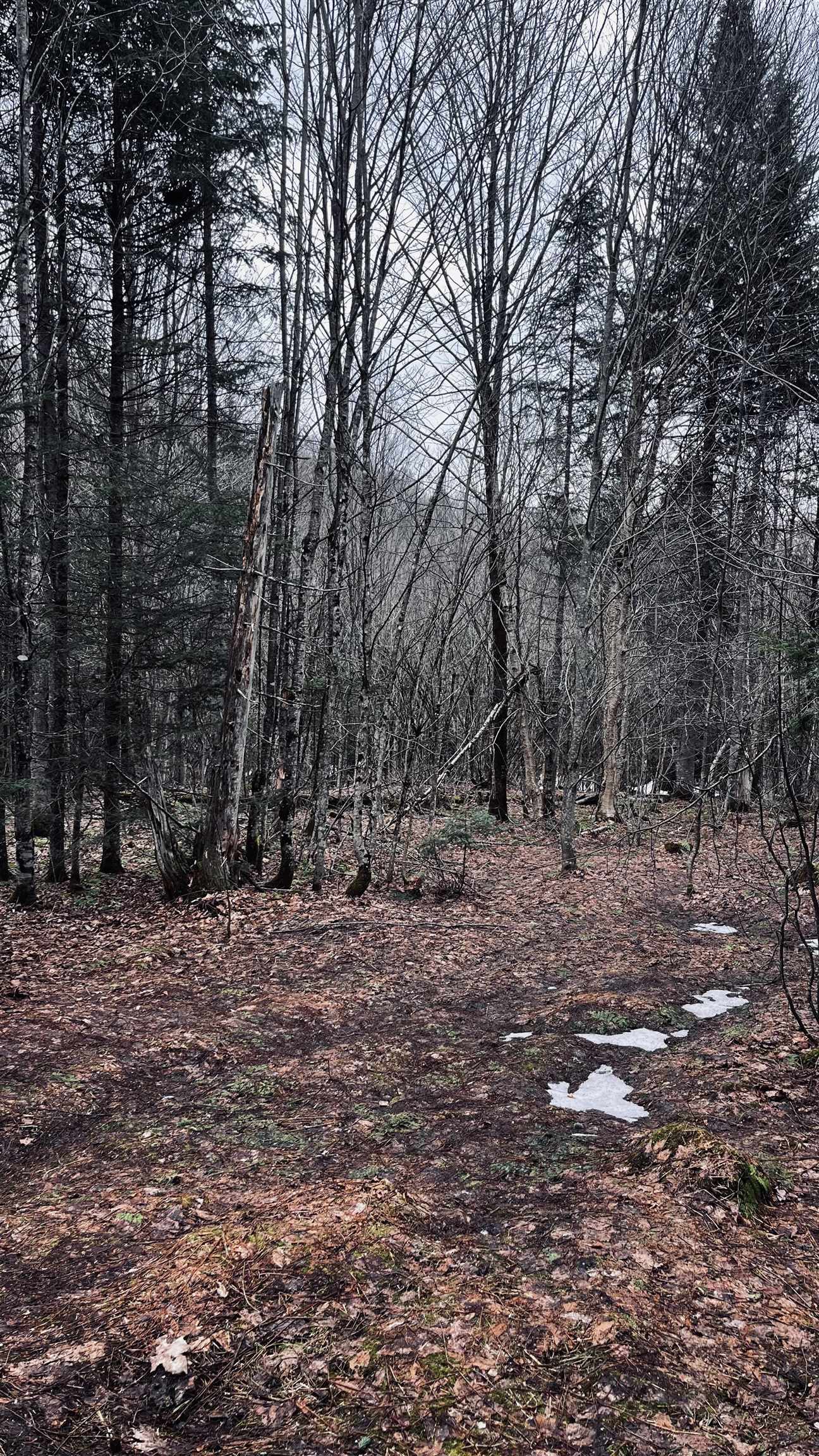 0 Shadow Lake Road Property Photo 31
