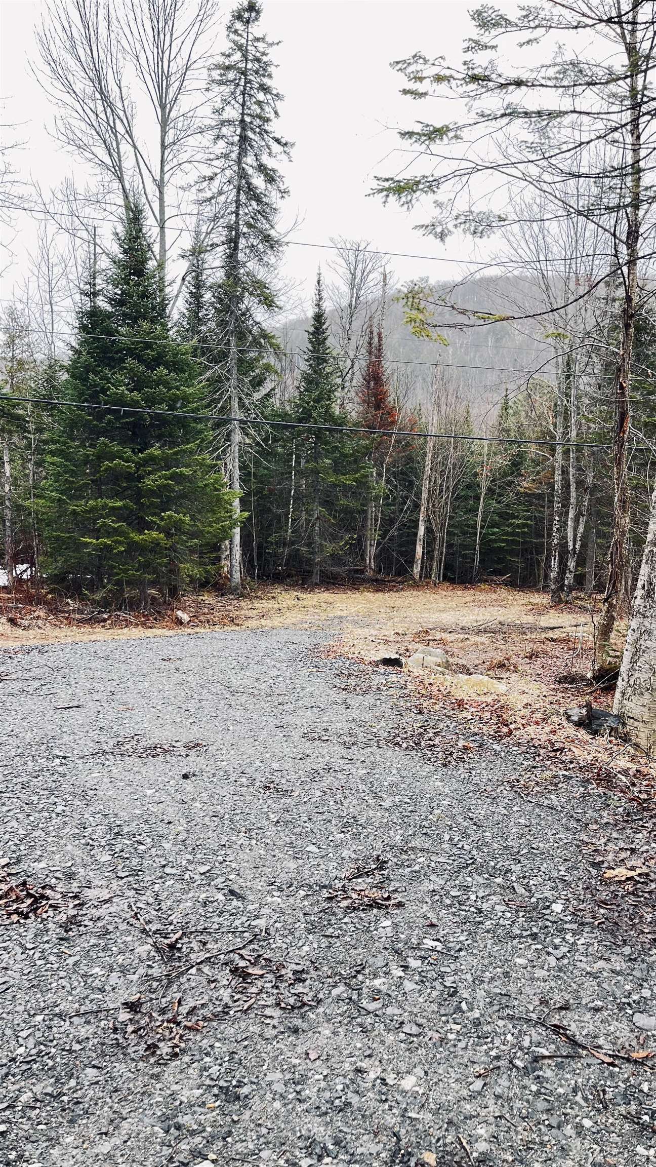 0 Shadow Lake Road Property Photo 43