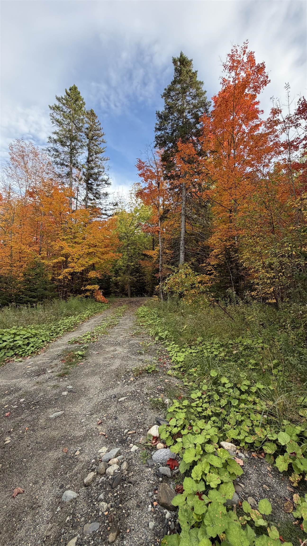 0 Shadow Lake Road Property Photo 54