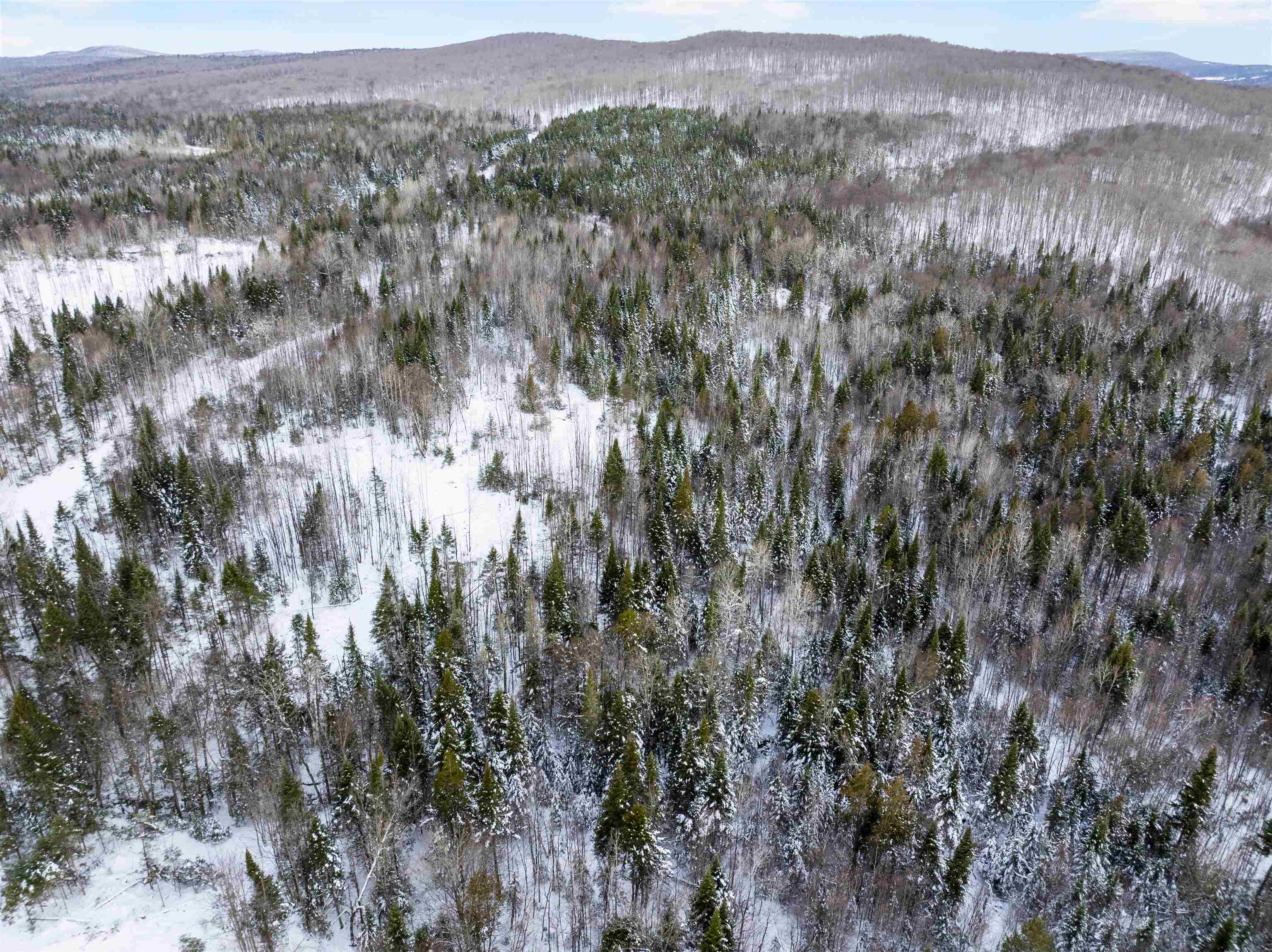 5626 Vt Route 114 Property Photo 30