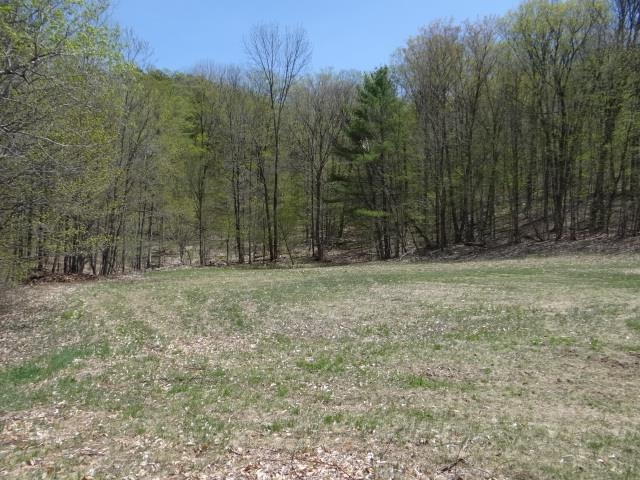 0 South Road Property Photo 6