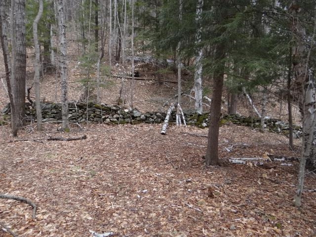 0 South Road Property Photo 18